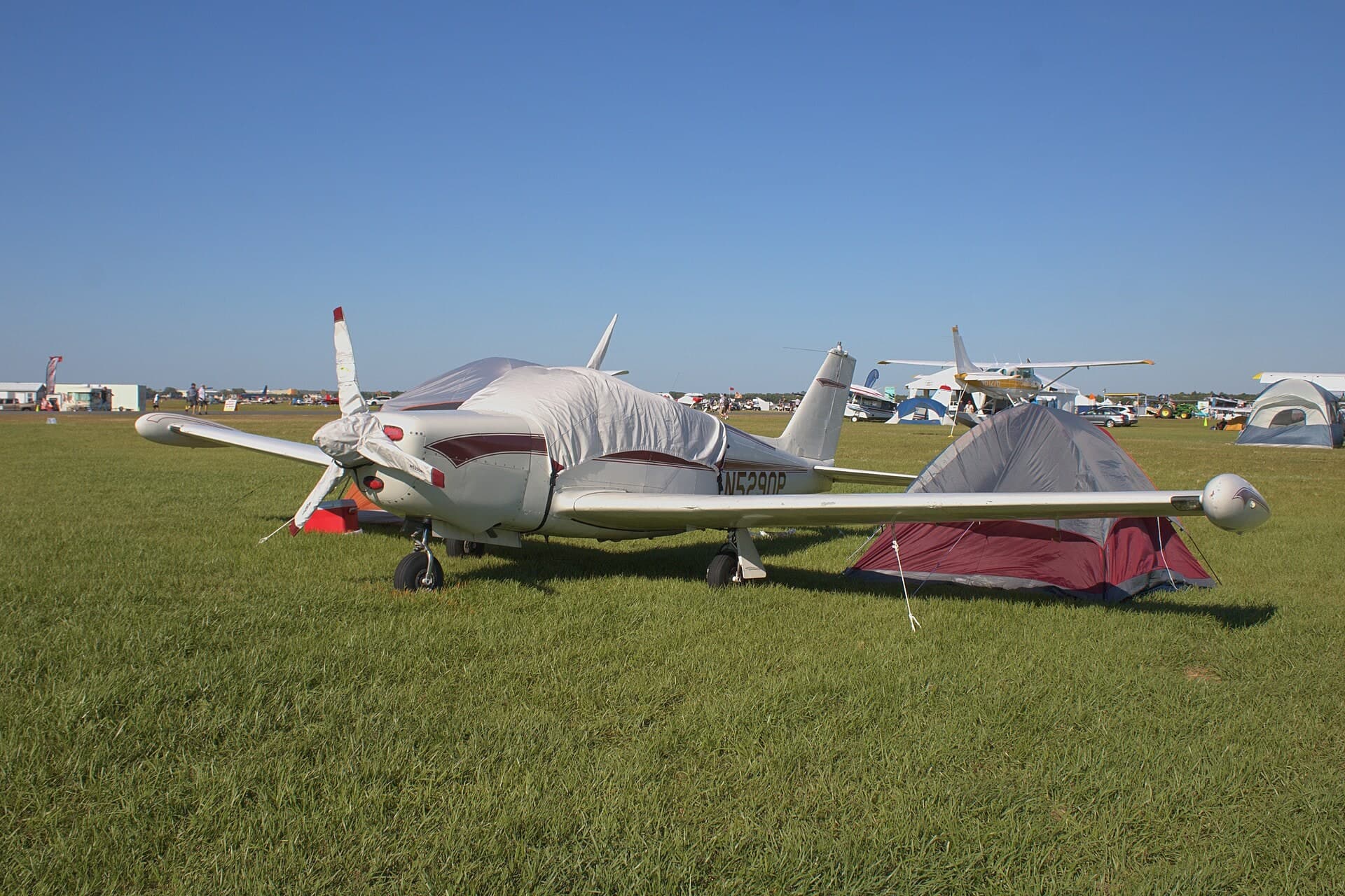 N5290P — Single-engine aircraft