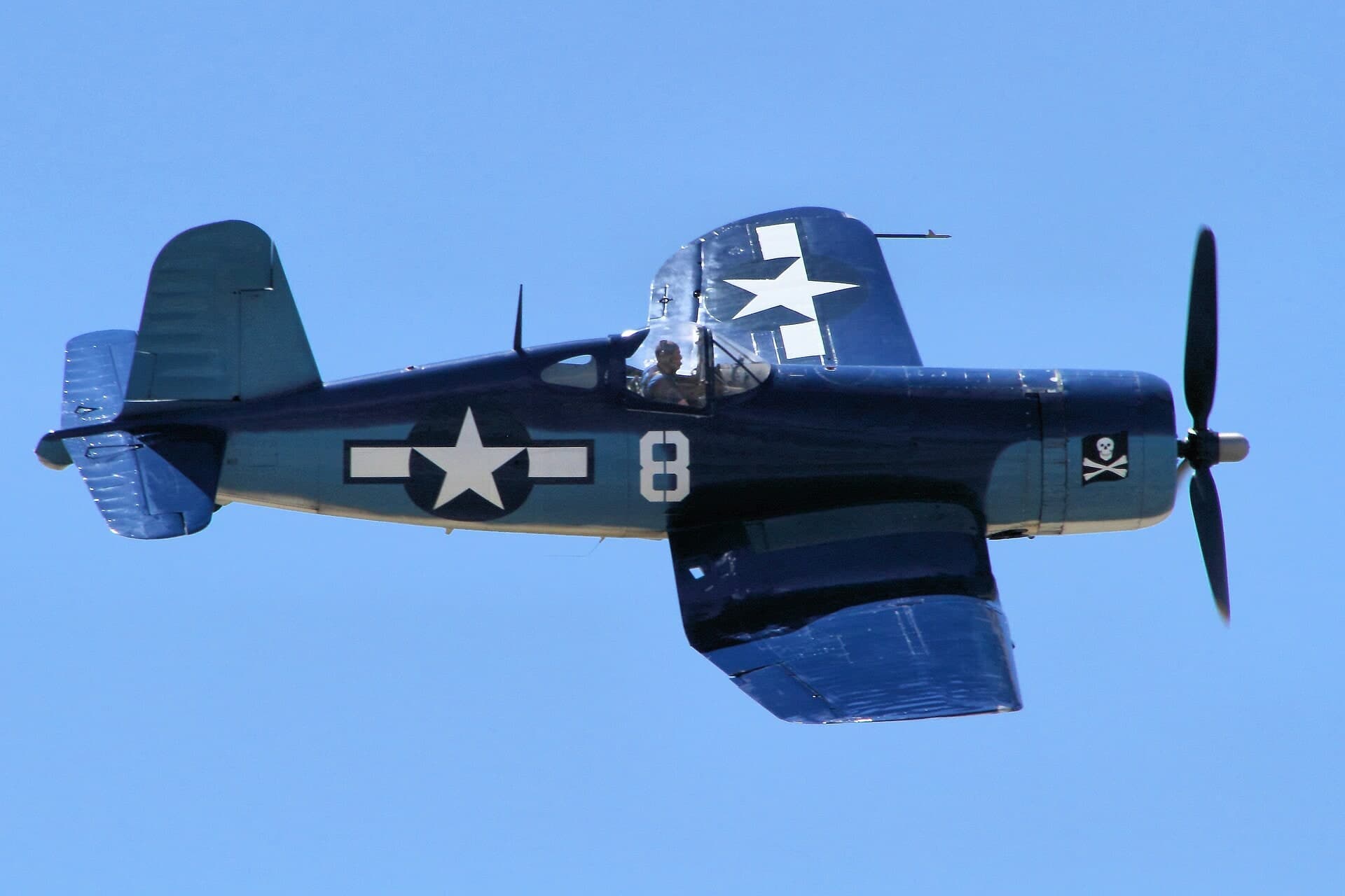 N11Y — Warbird