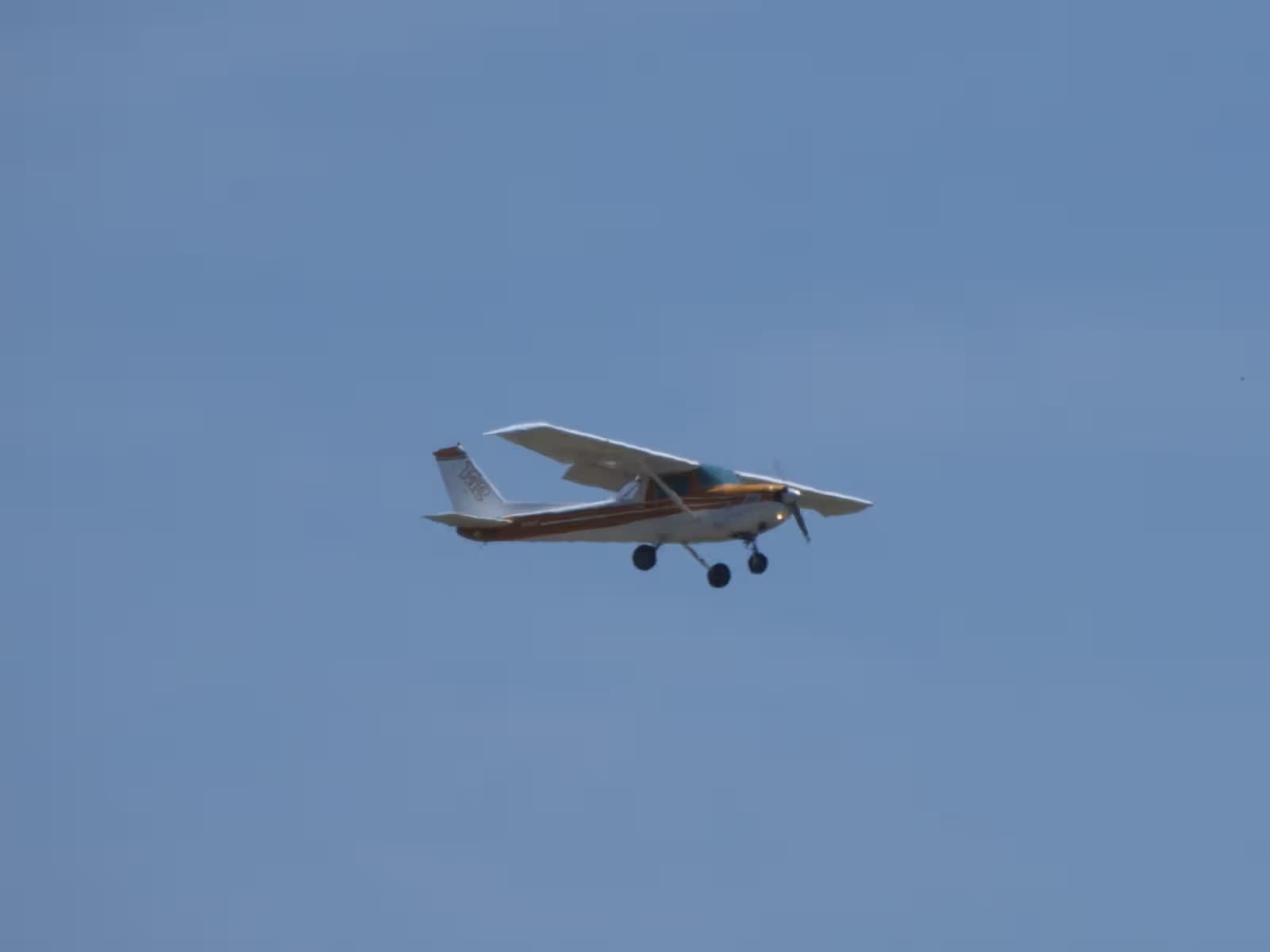 N49931 — Single-engine aircraft