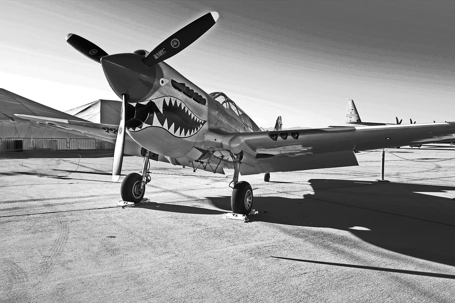 Unidentified — Warbird