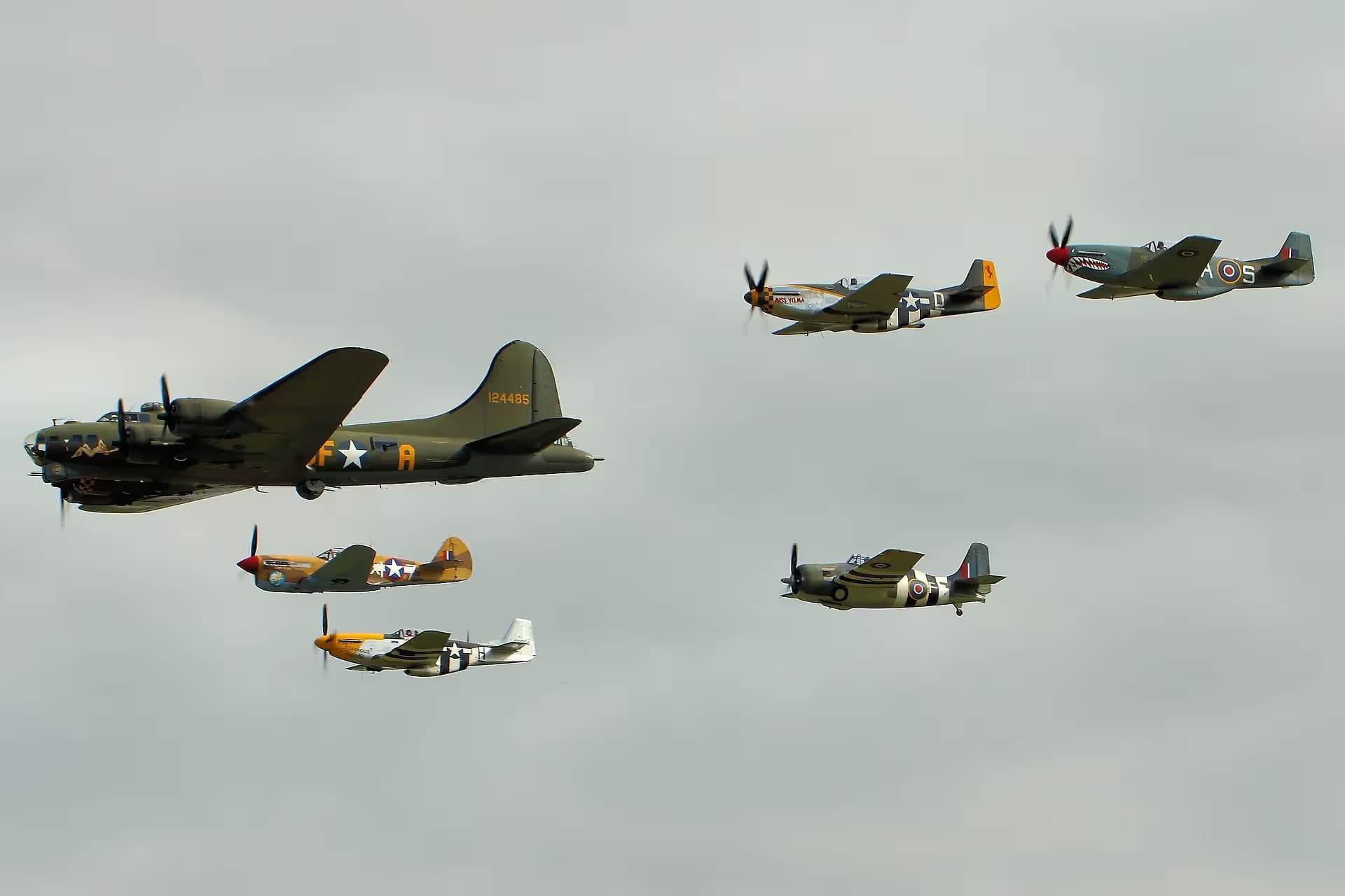 Unidentified — Warbird