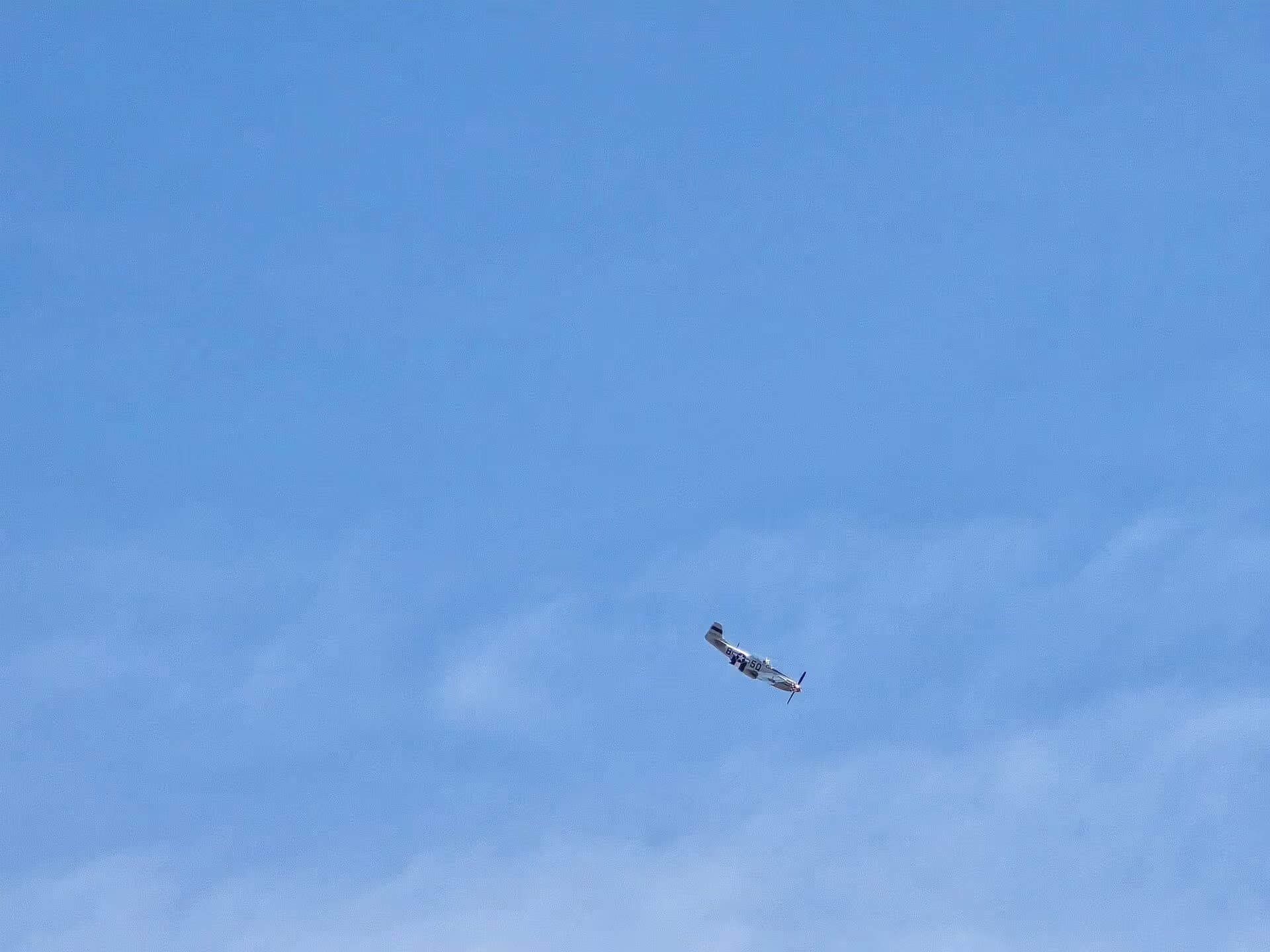 Unidentified — Warbird