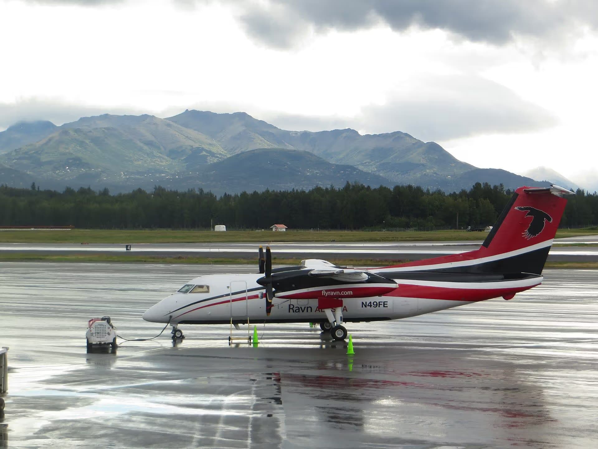 N49FE — De Havilland