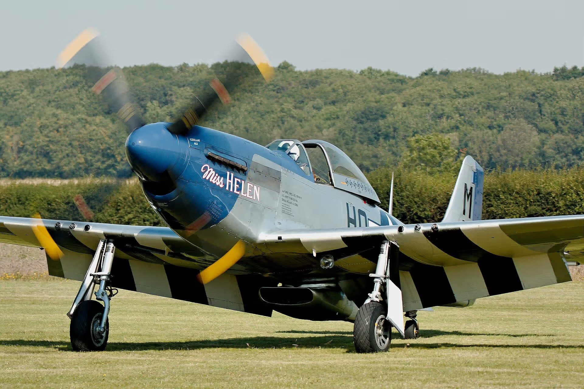 Unidentified — Warbird