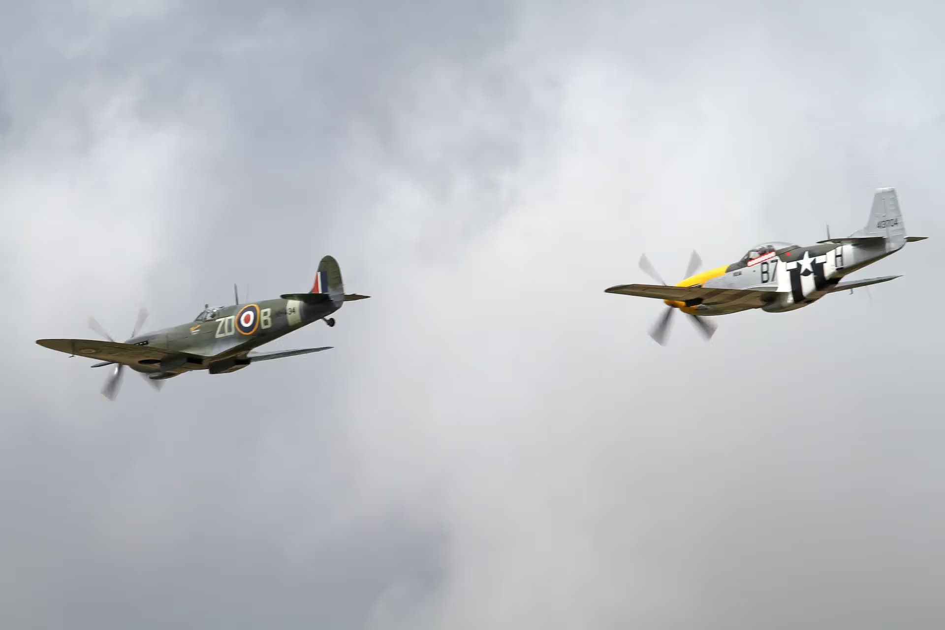 Unidentified — Warbird