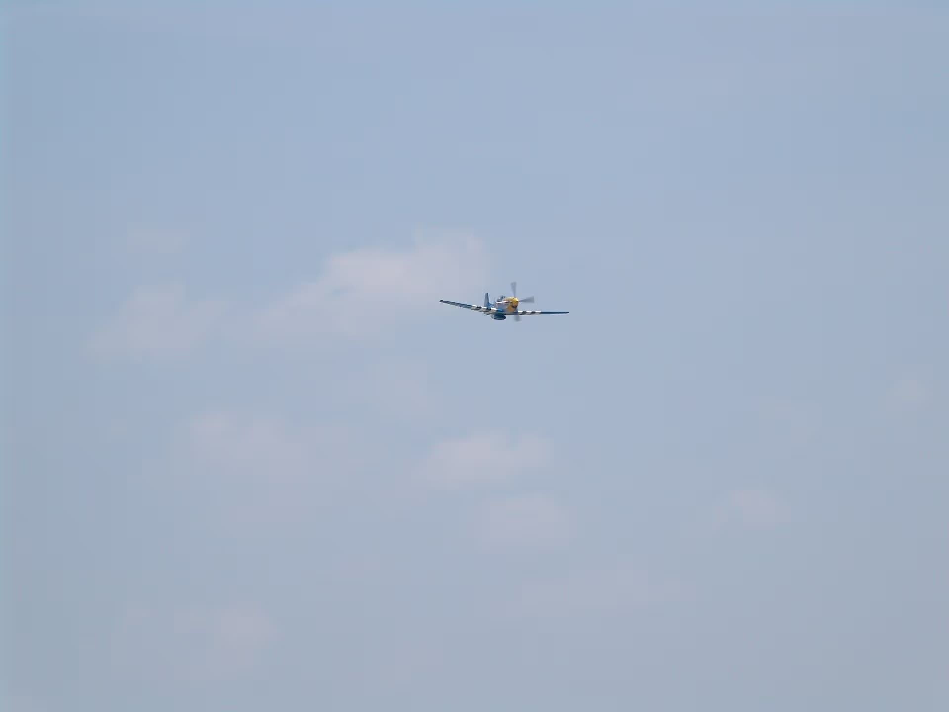 Unidentified — Warbird