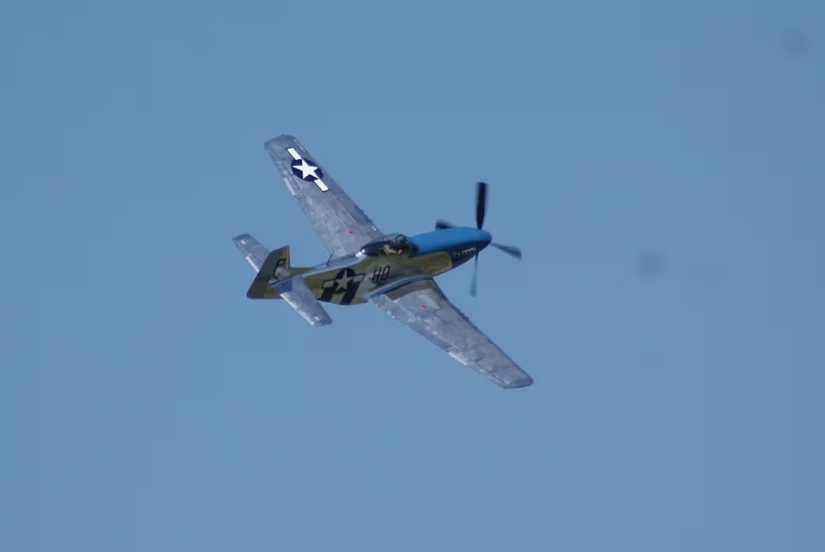 Unidentified — Warbird
