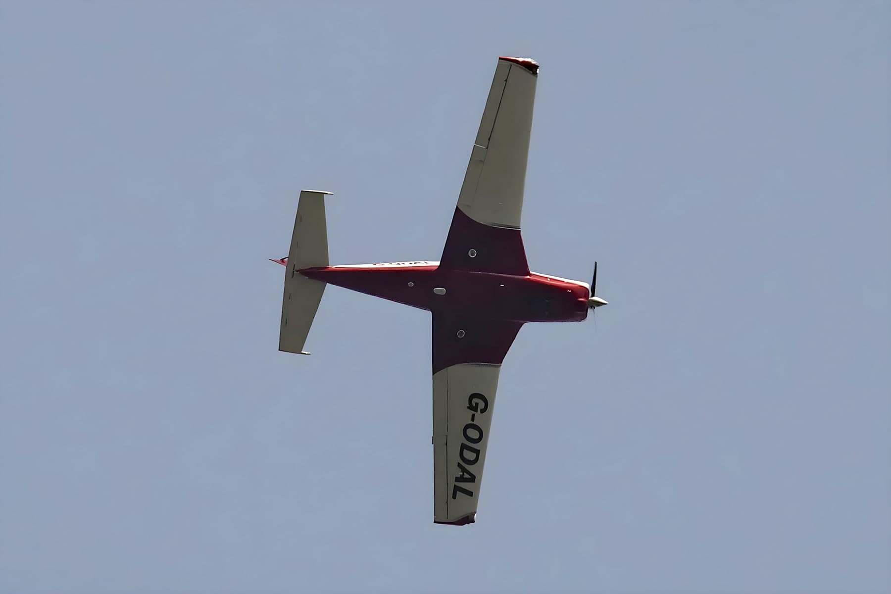 G-ODAL — Single-engine aircraft
