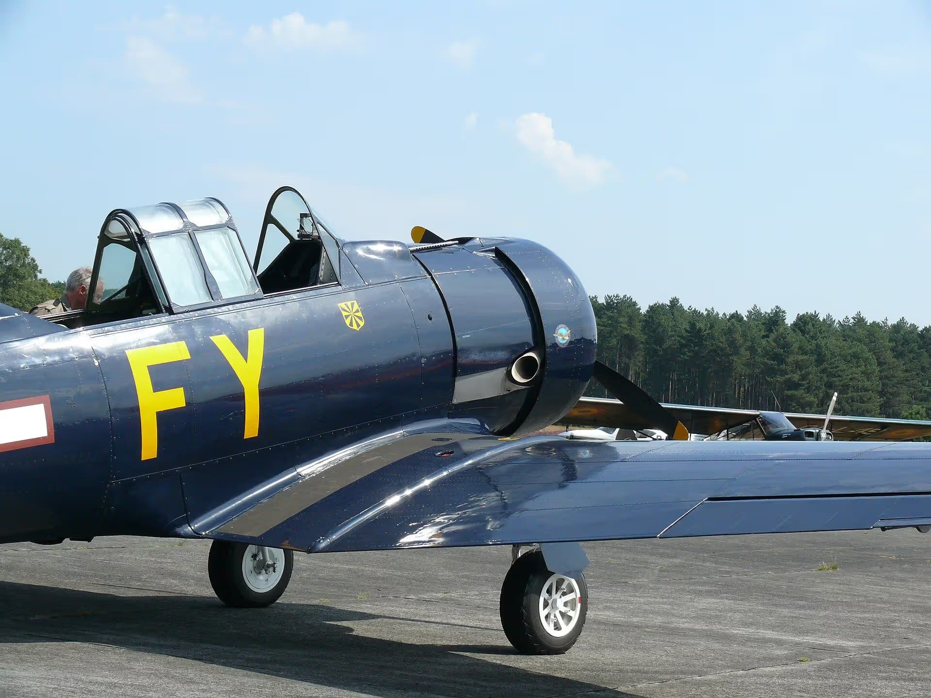 N13FY — Warbird