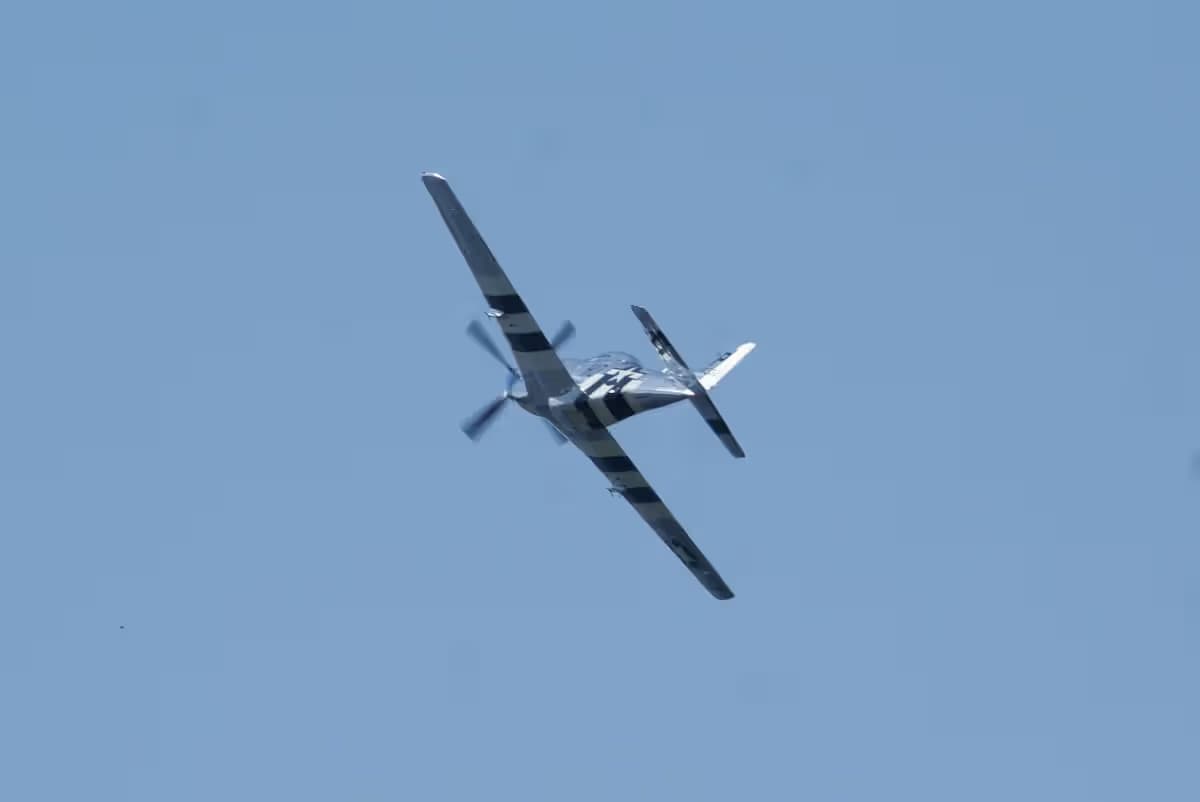 Unidentified — Warbird