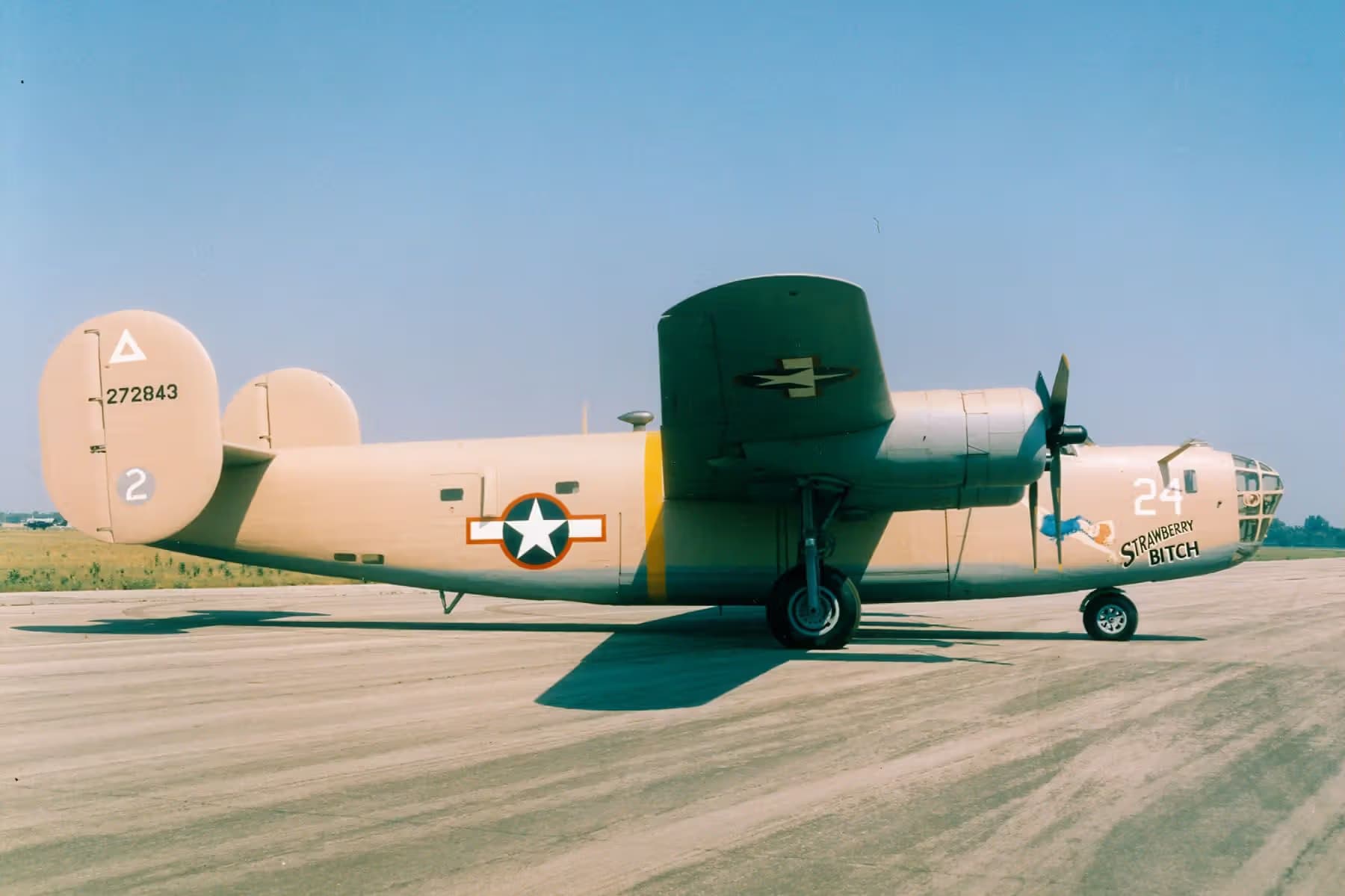 Unidentified — Warbird
