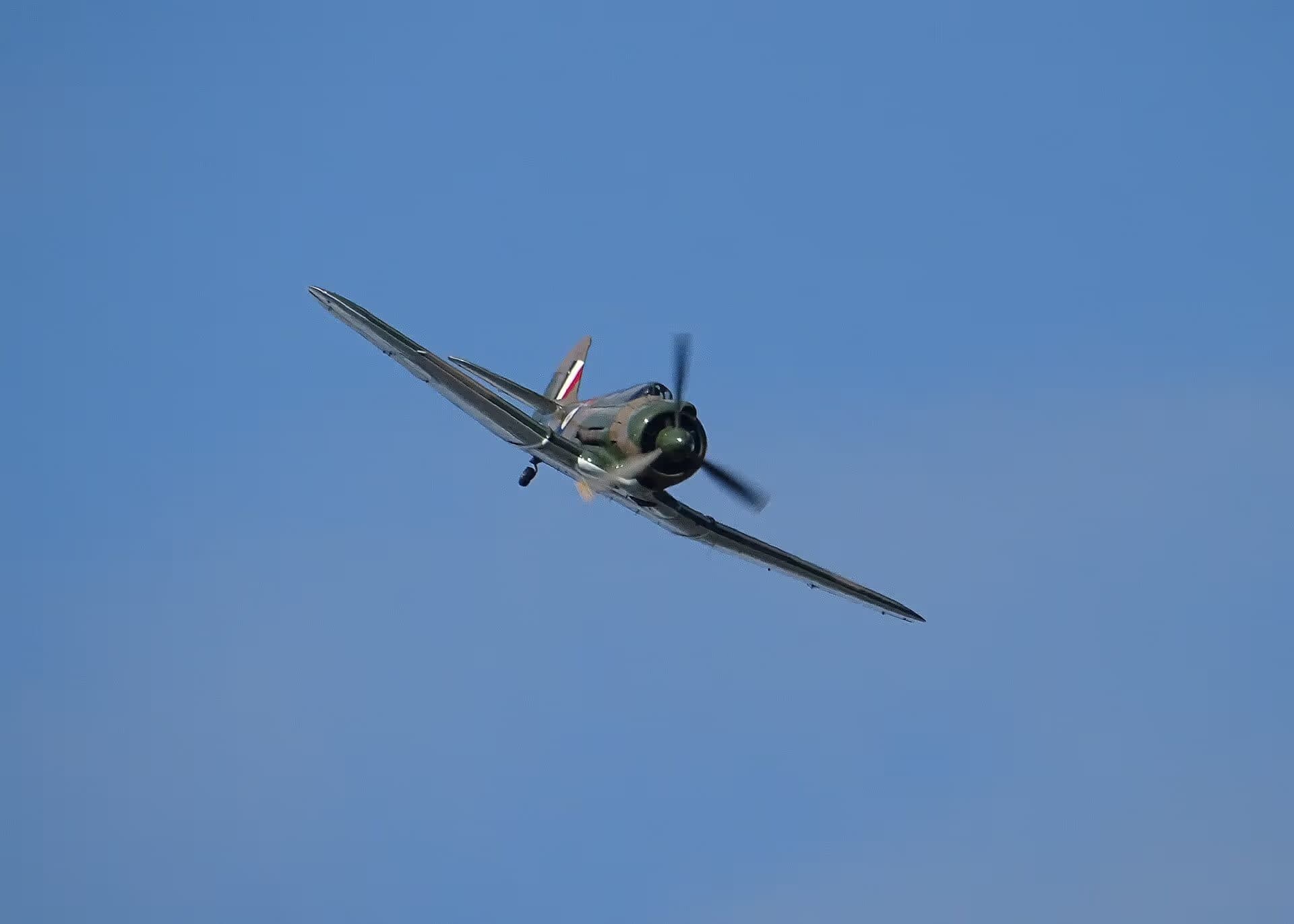 Unidentified — Warbird