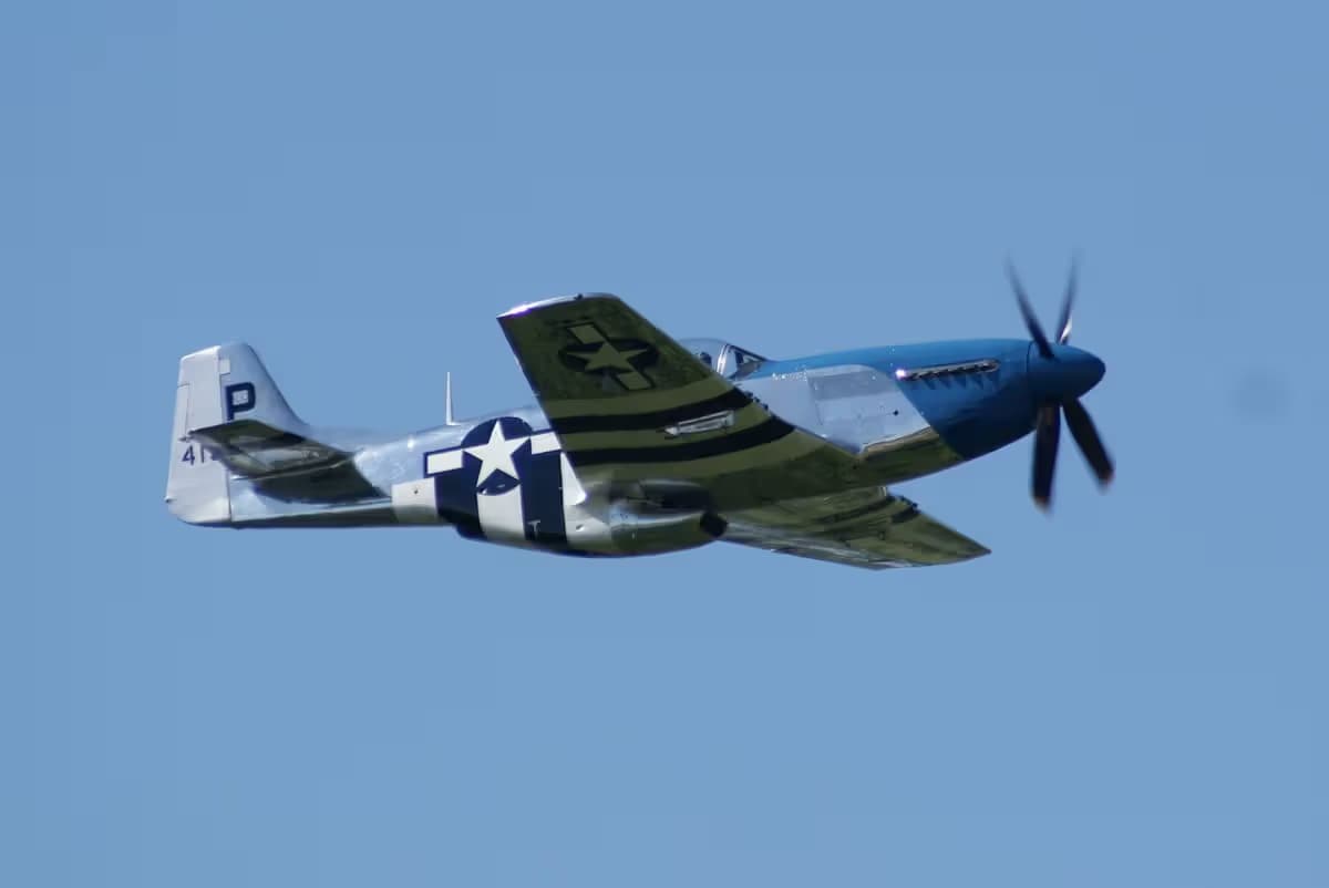 Unidentified — Warbird