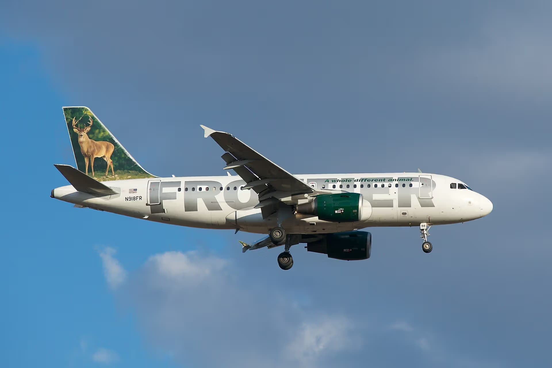 N918FR — Twin-engine aircraft