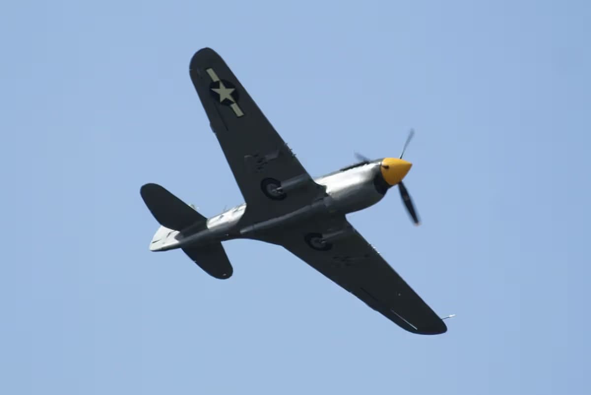 Unidentified — Warbird