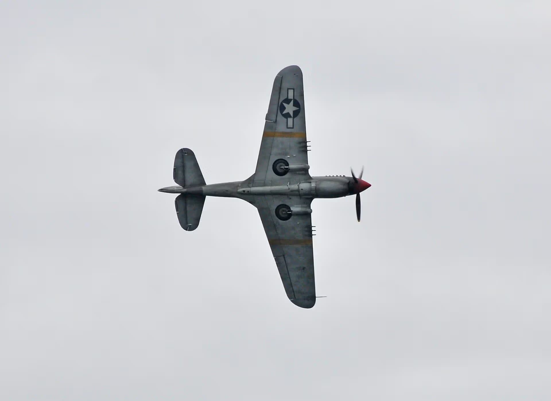 Unidentified — Warbird