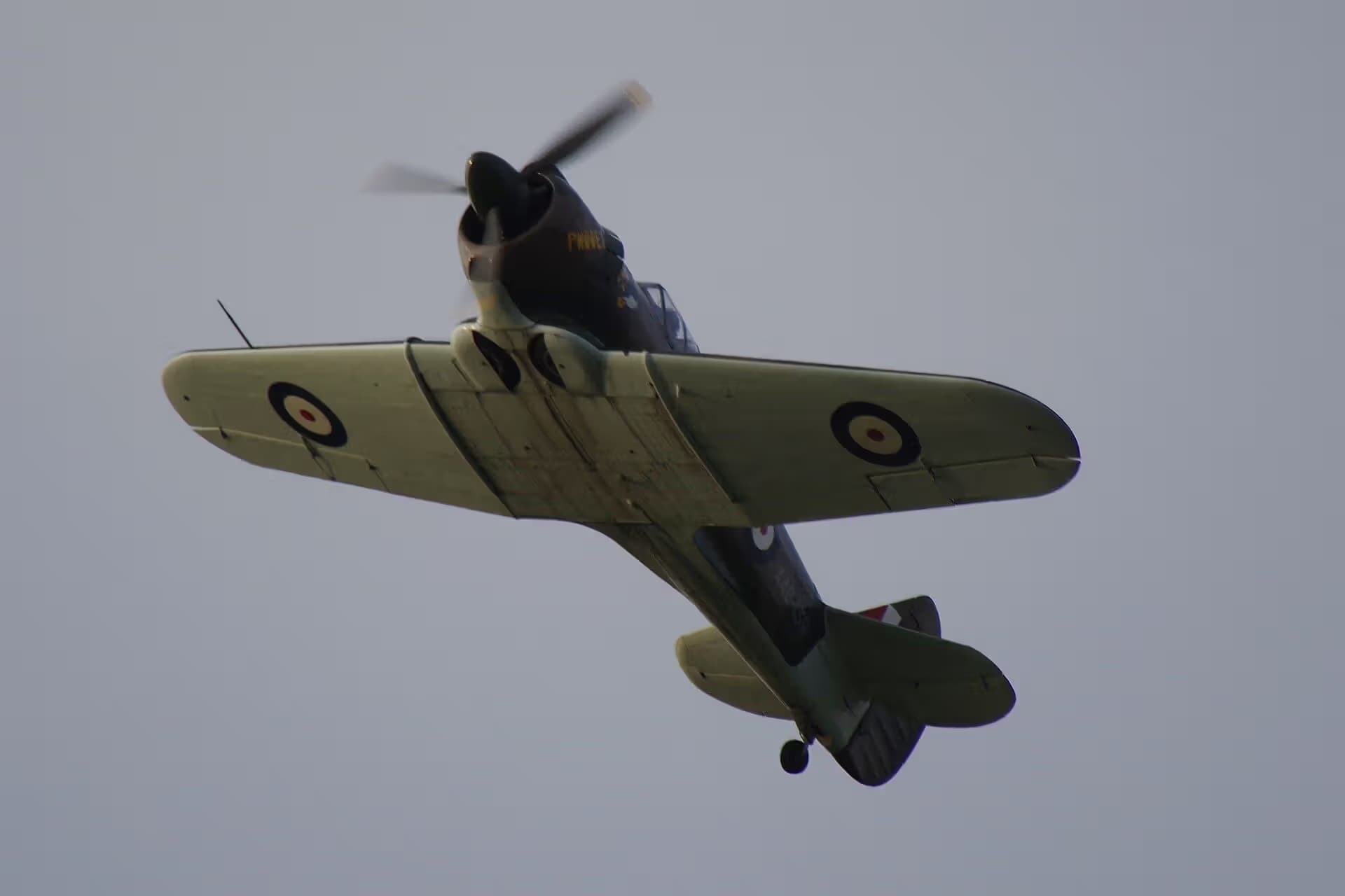 Unidentified — Warbird