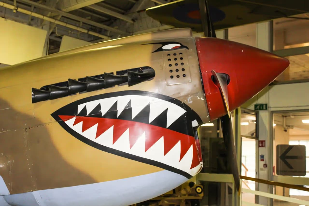Unidentified — Warbird