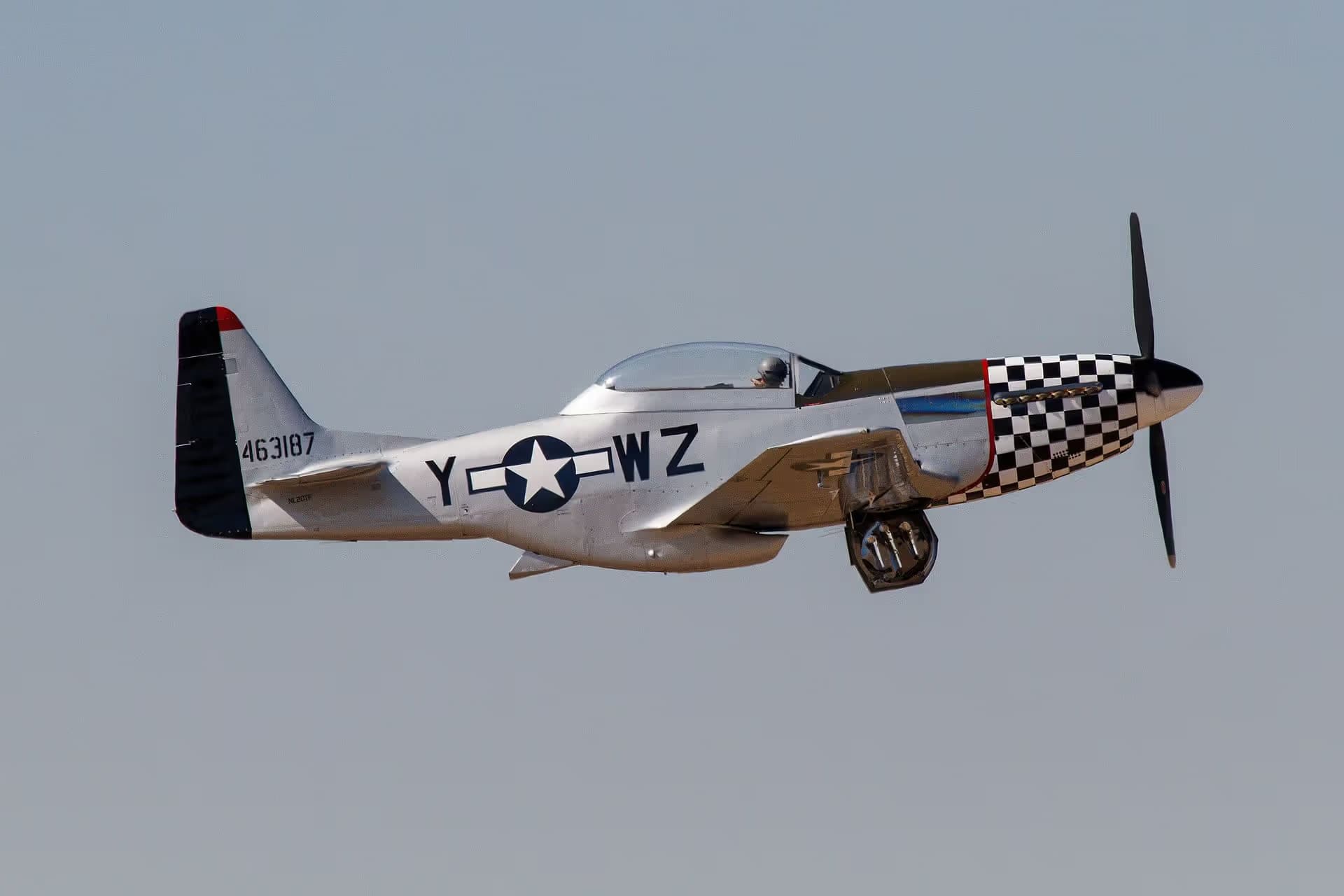 Unidentified — Warbird