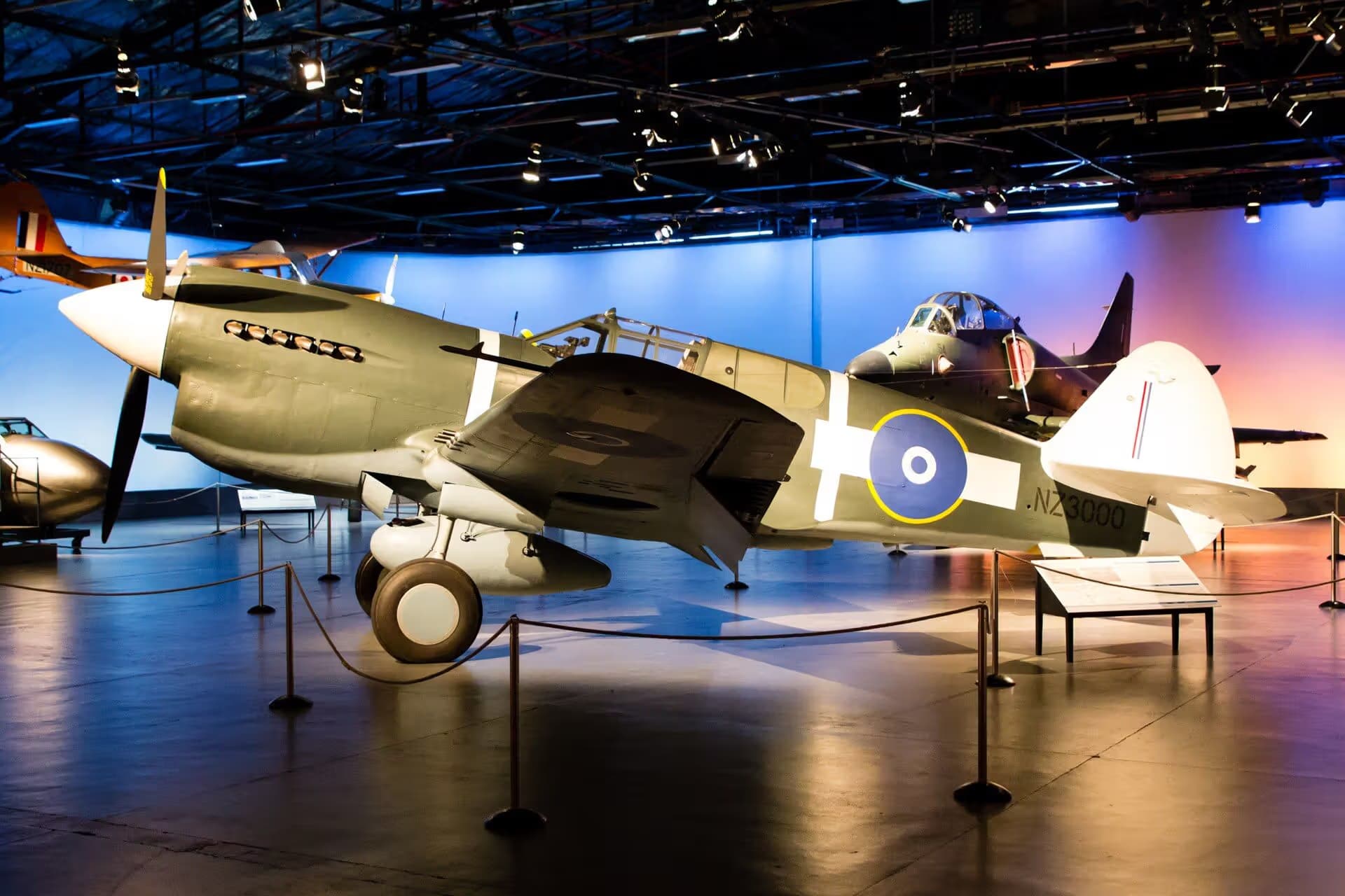 Unidentified — Warbird