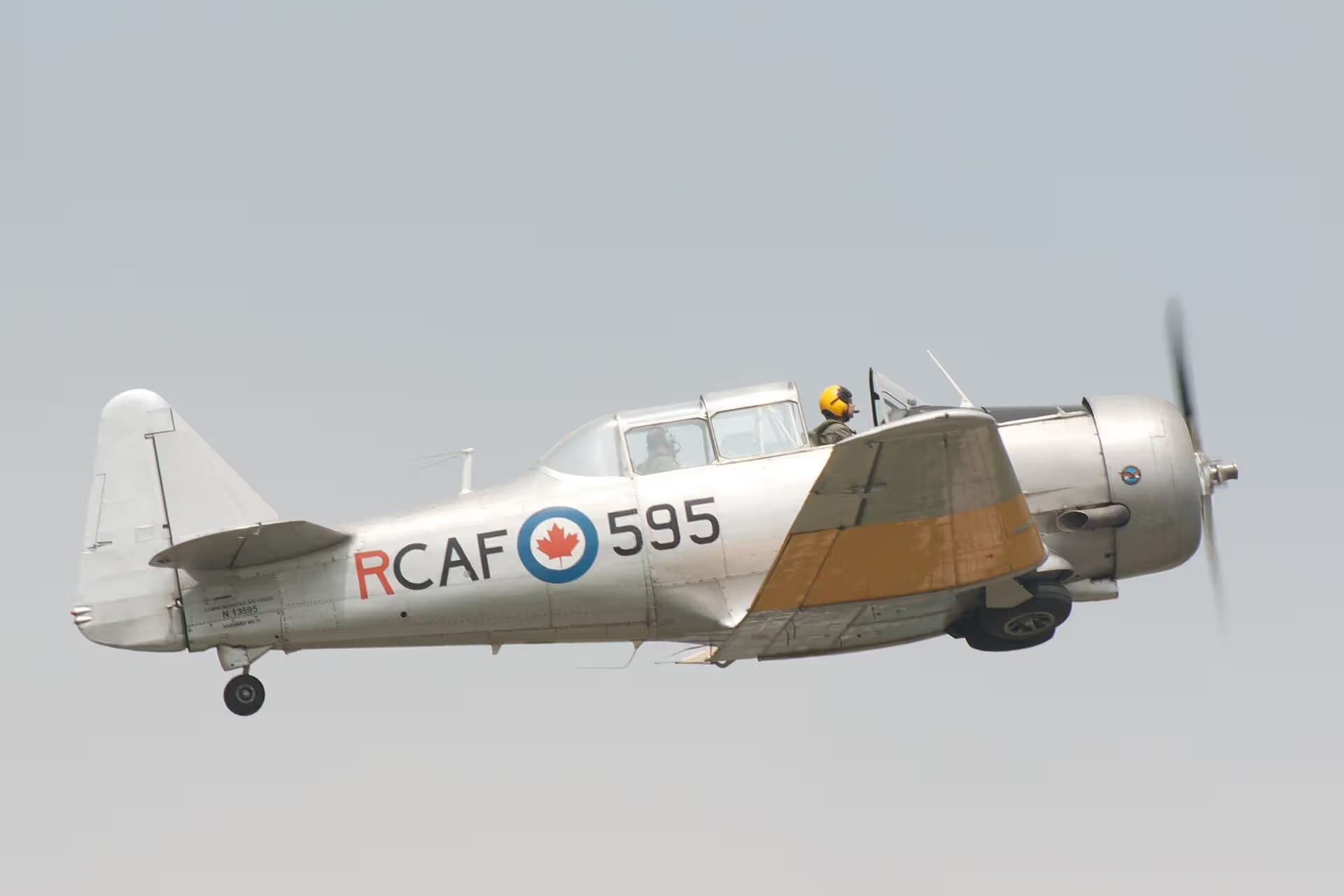 N13595 — Single-engine aircraft