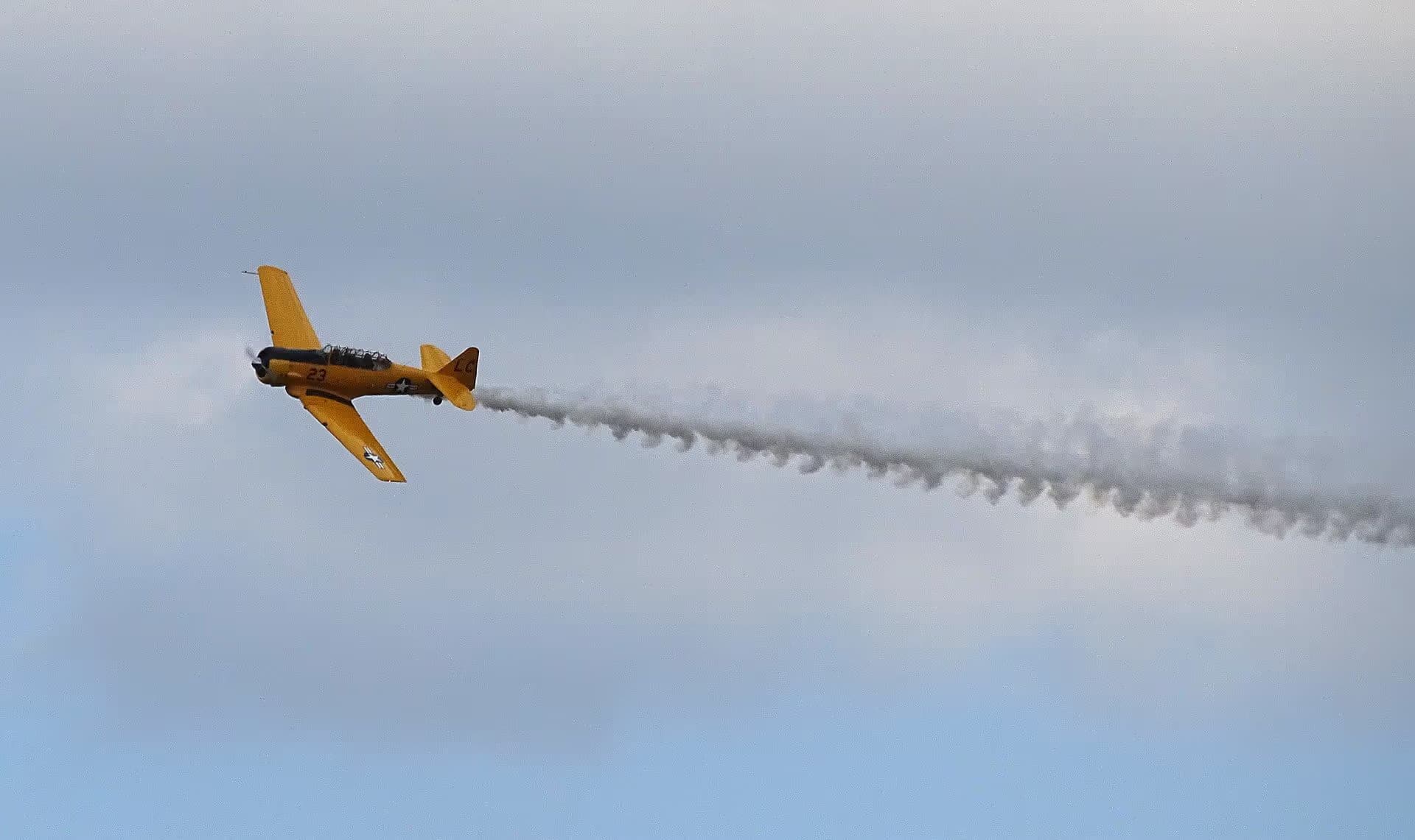 N3286 — Warbird