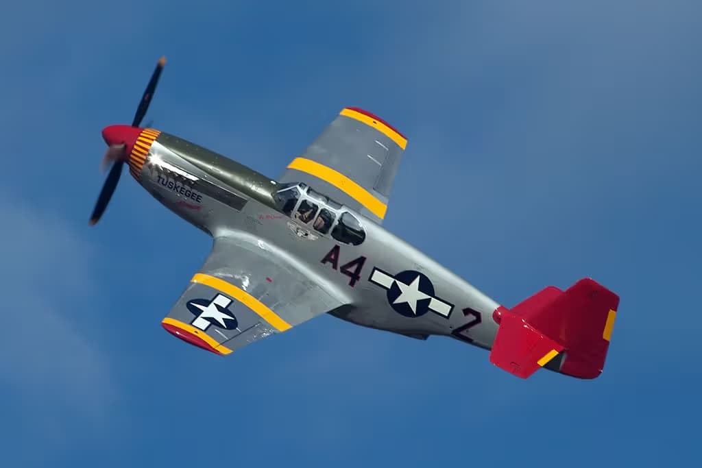 N61429 — Warbird