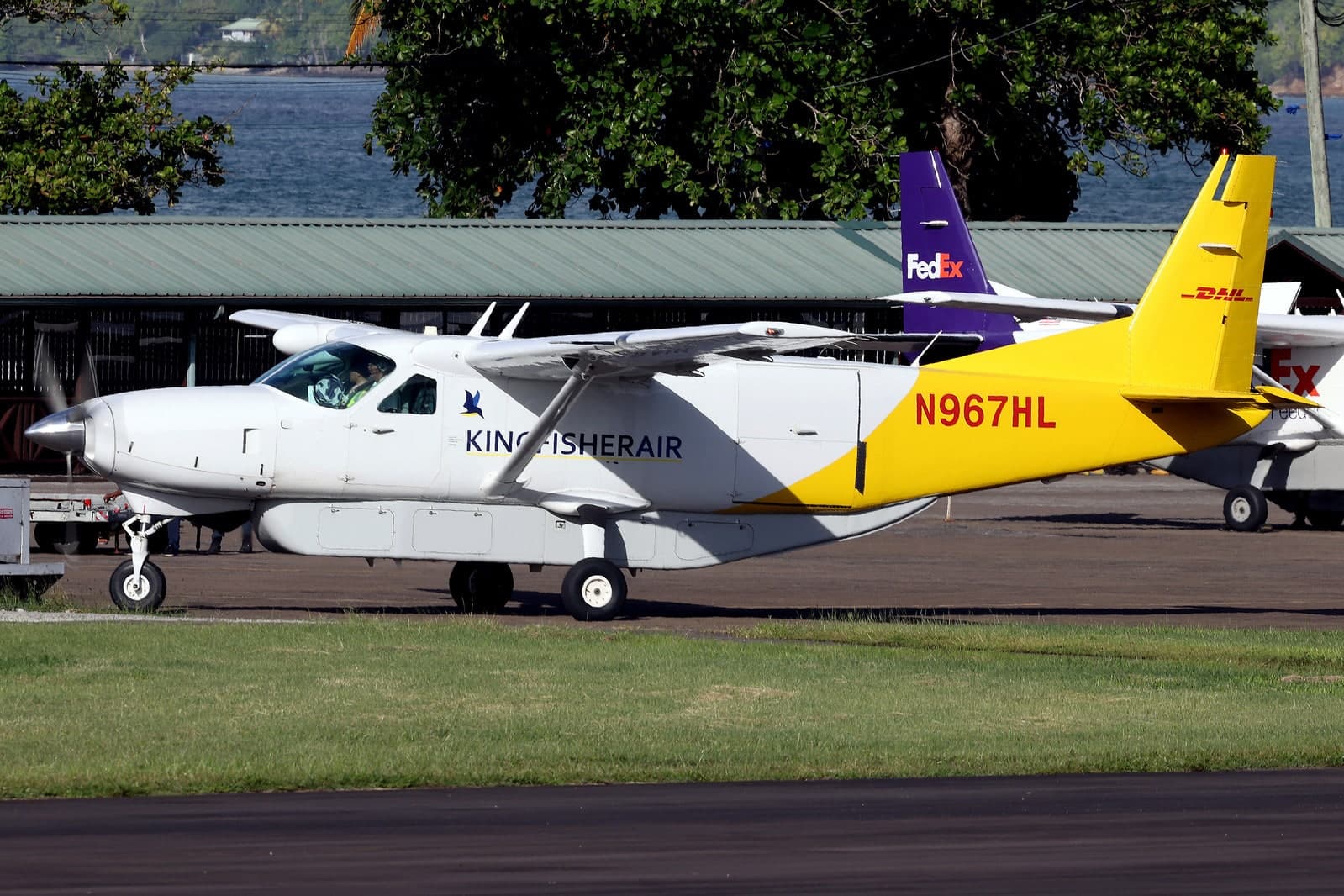 N967HL — Single-engine aircraft