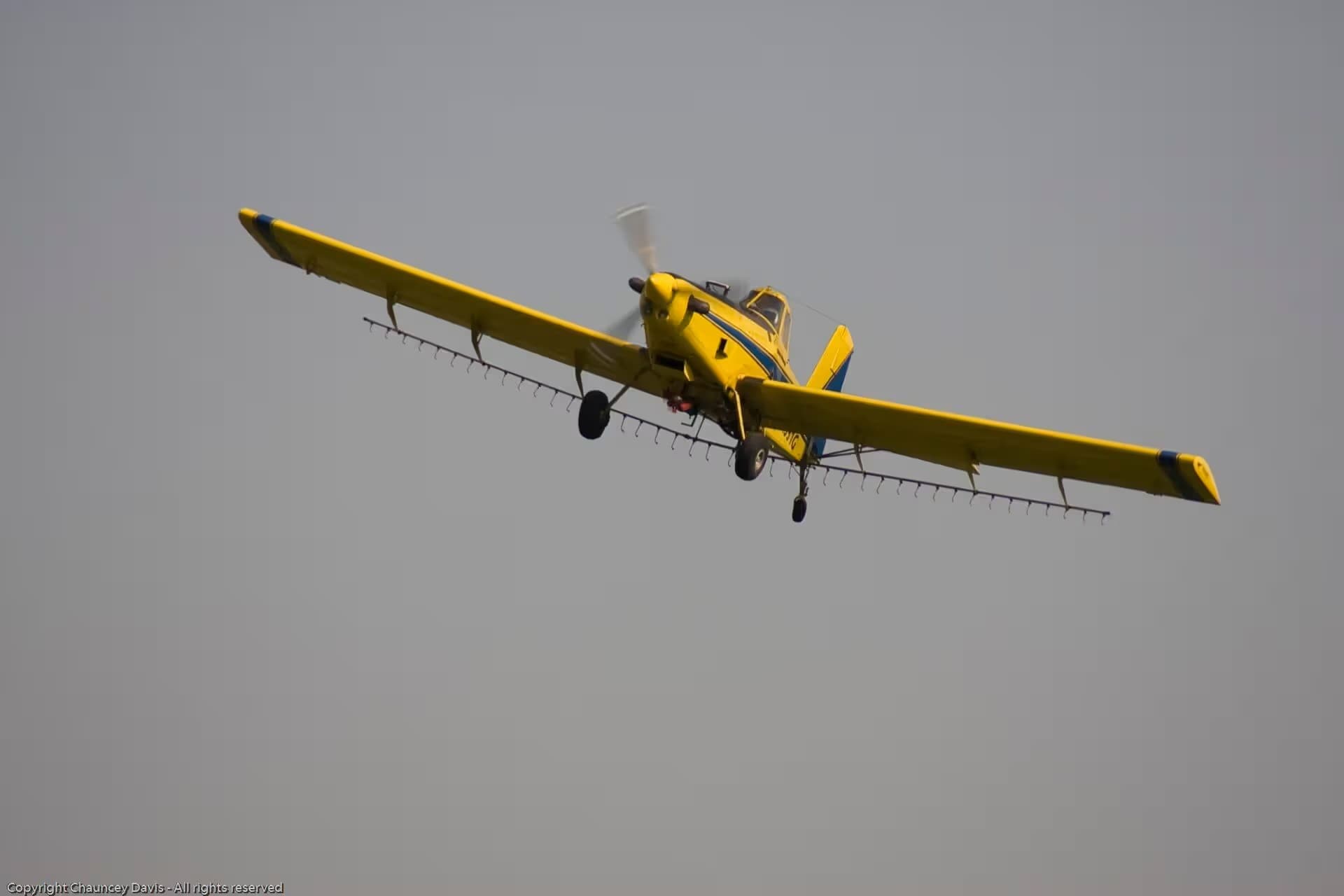 N1531G — Single-engine aircraft