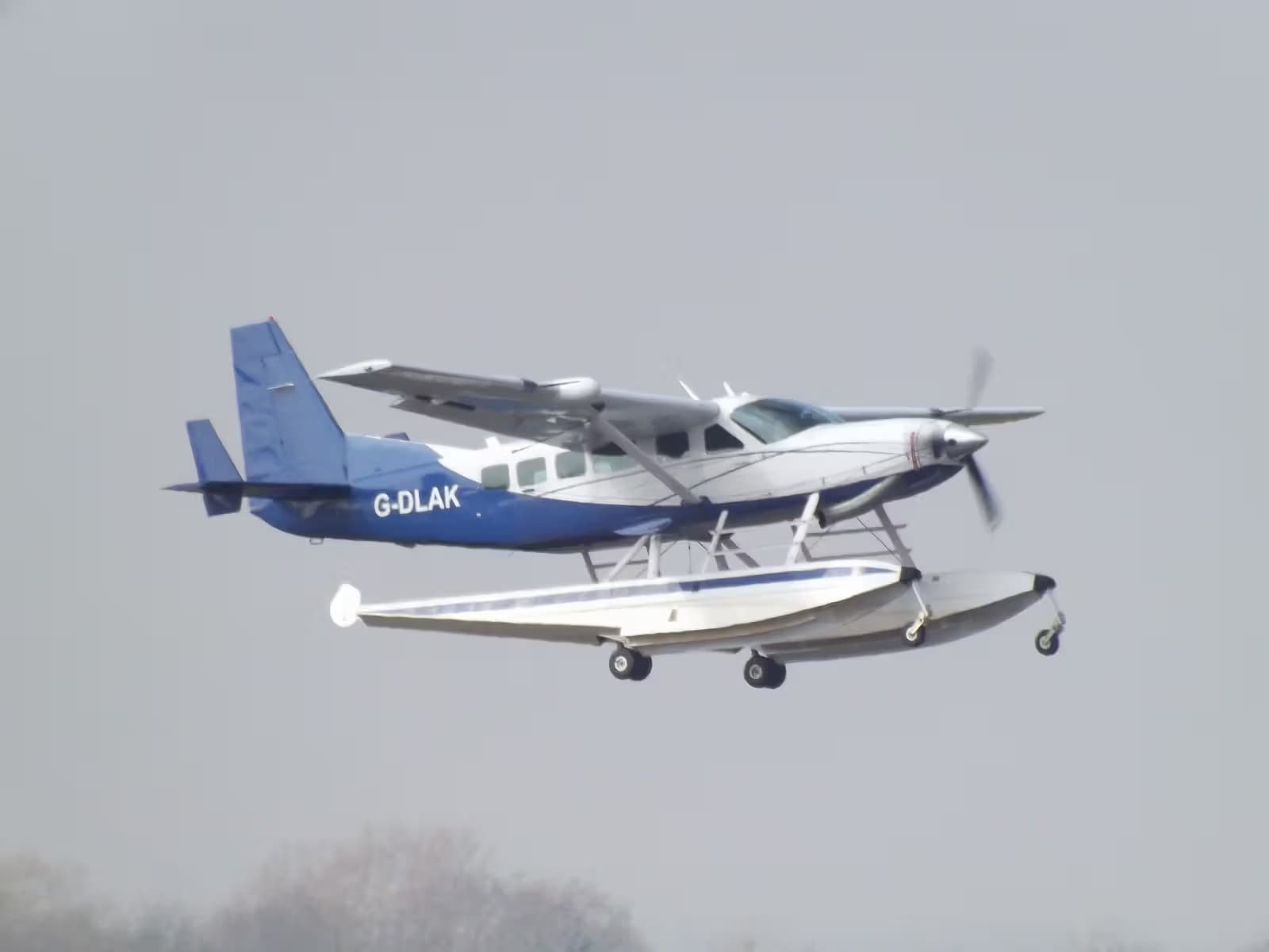 G-DLAK — Cessna
