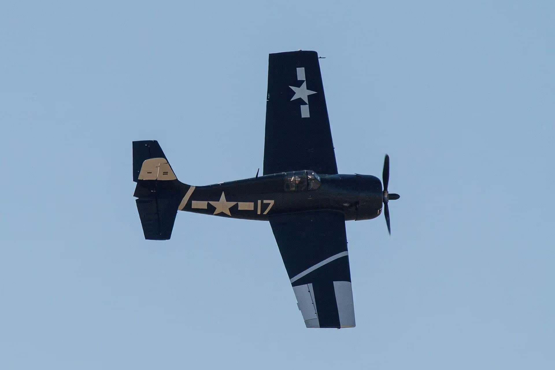 Unidentified — Warbird