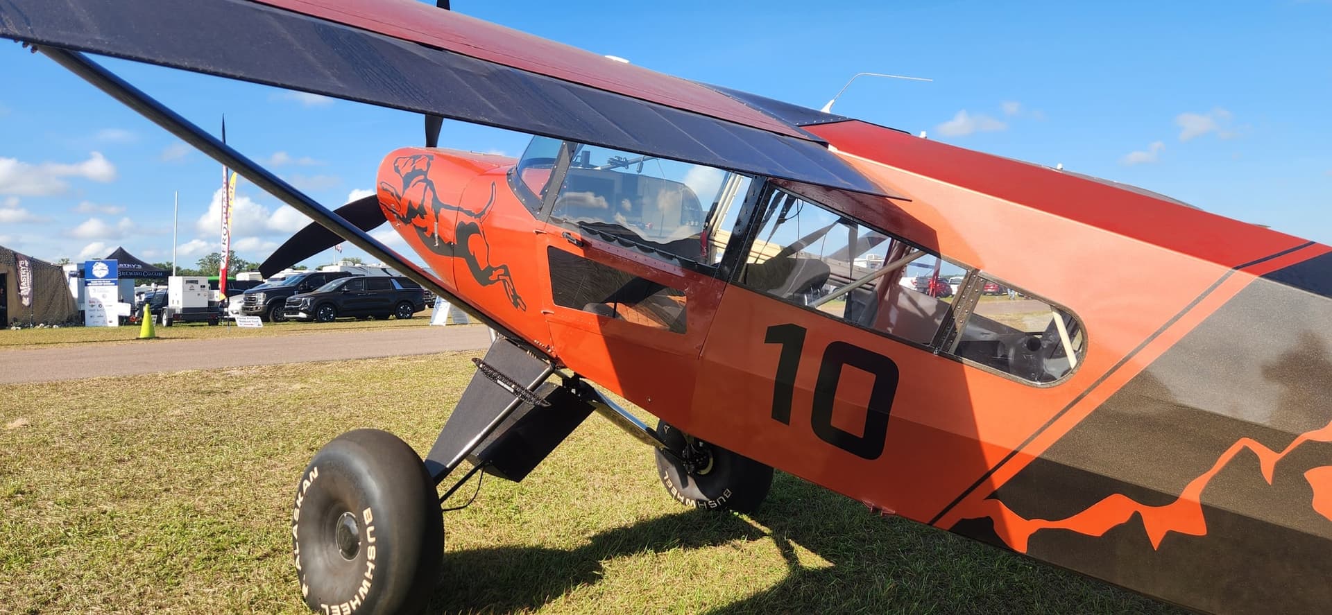 N402WV — Bearhawk Aircraft Bearhawk Five at Lakeland Linder Intl