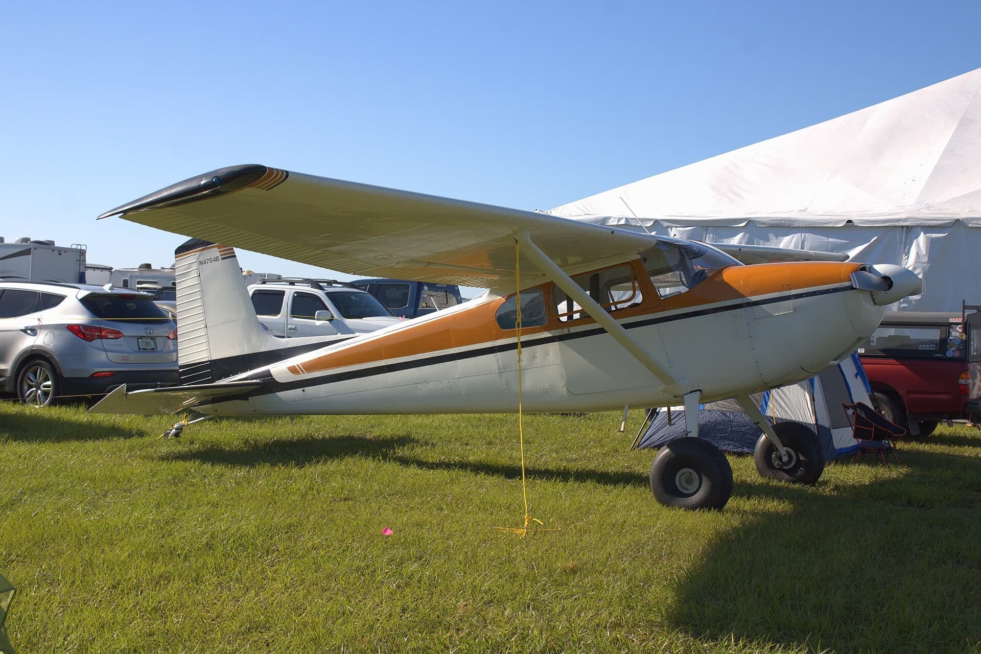 N4784B — Single-engine aircraft