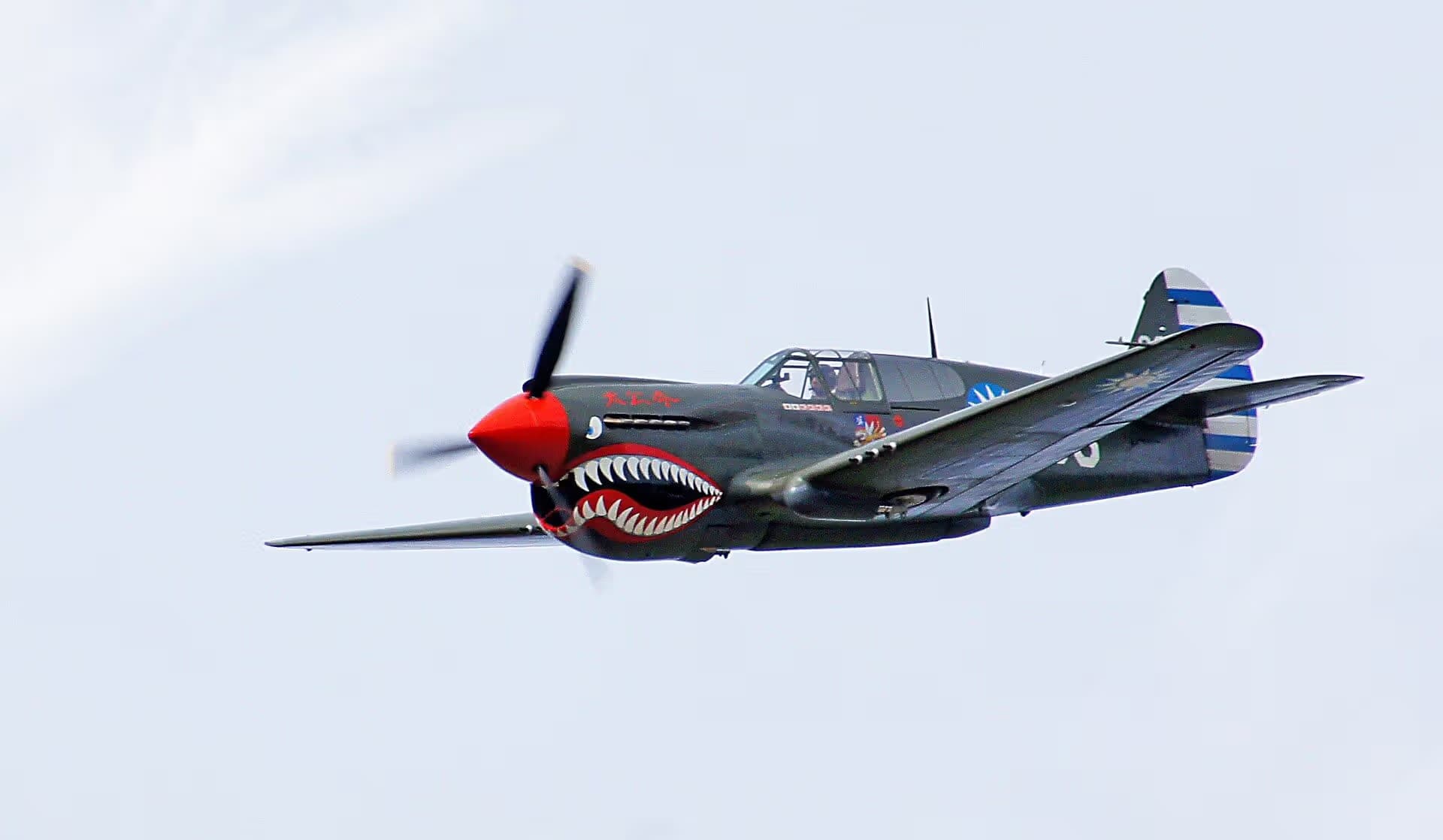 Unidentified — Warbird