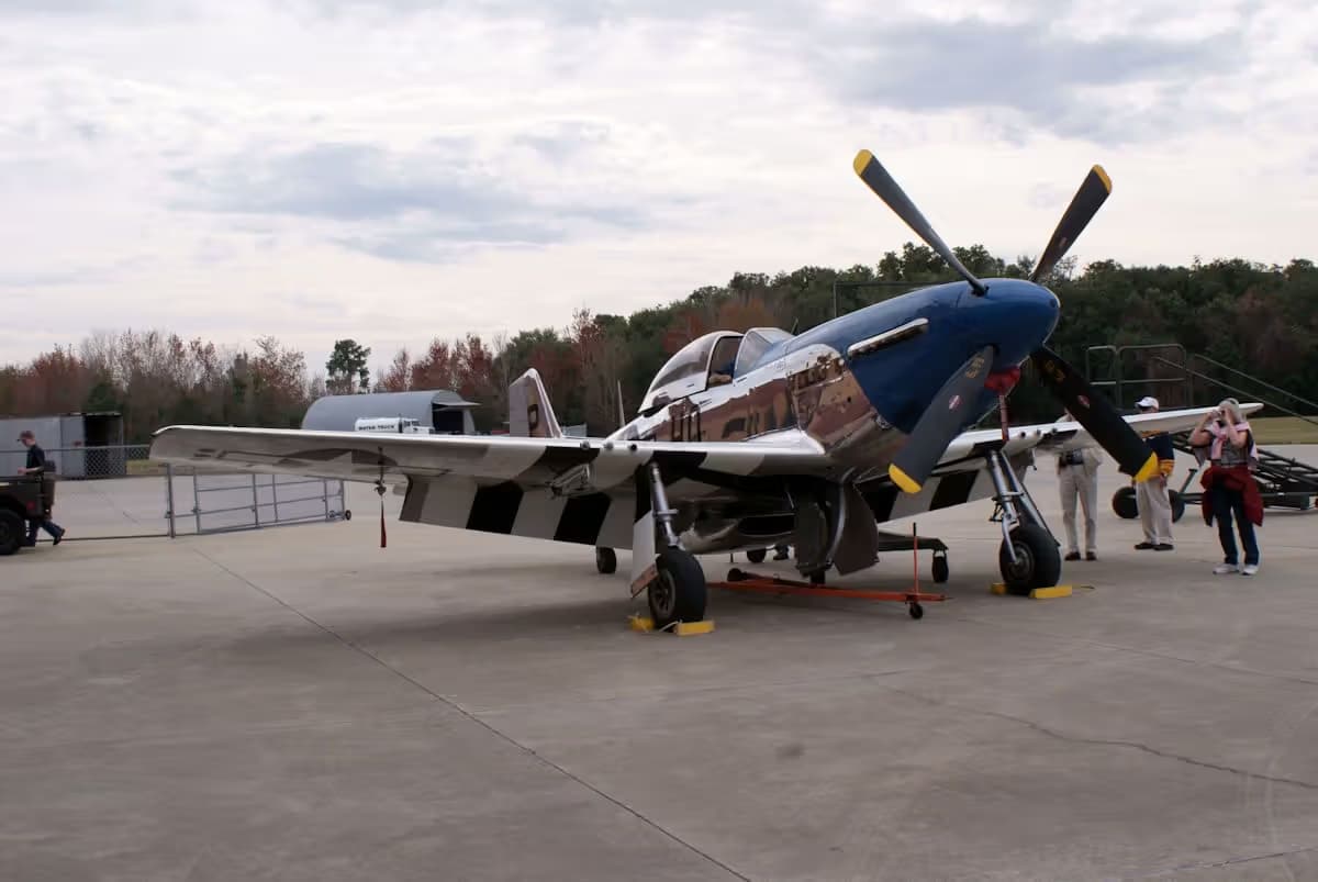 Unidentified — Warbird