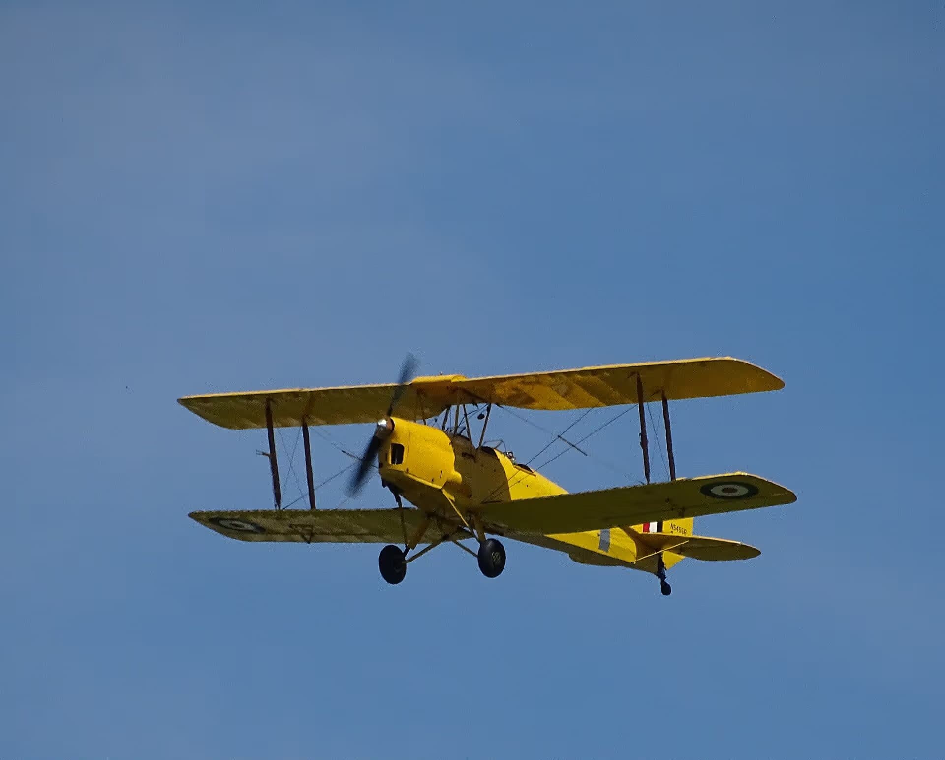 N54556 — Single-engine aircraft