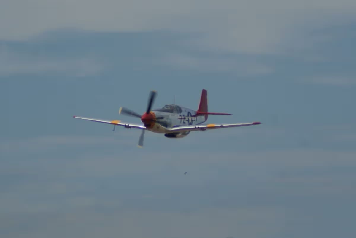 Unidentified — Warbird