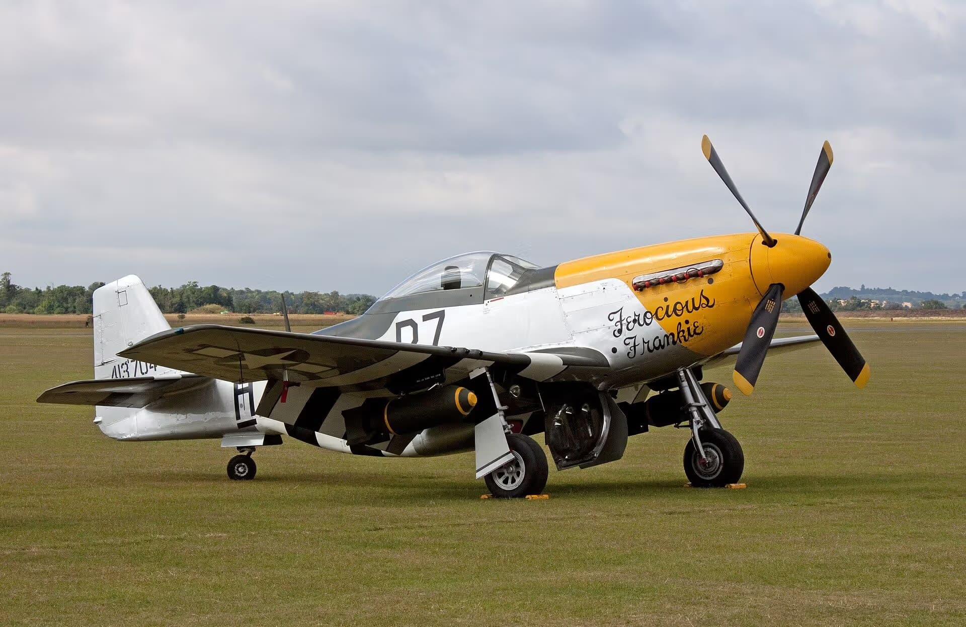Unidentified — Warbird