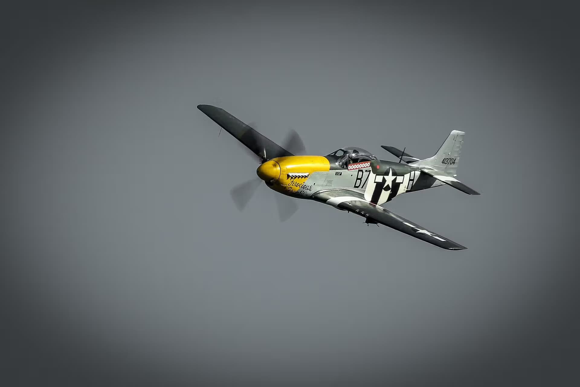Unidentified — Warbird