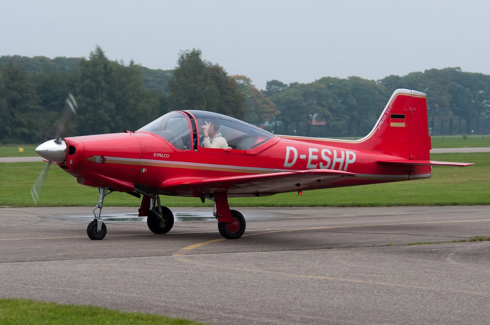 D-ESHP — Single-engine aircraft