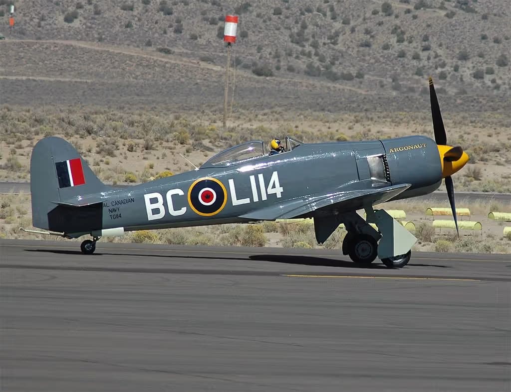 Unidentified — Warbird