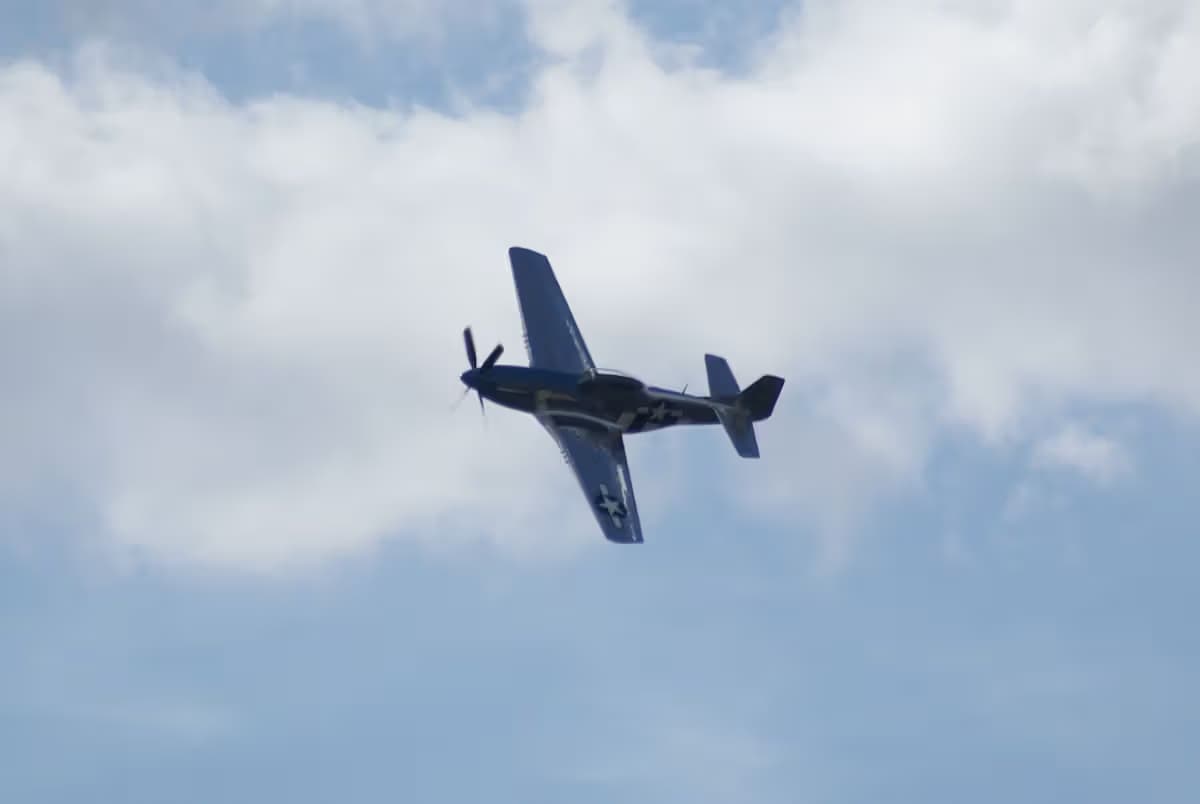 Unidentified — Warbird