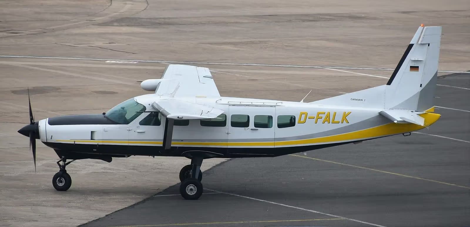 D-FALK — Single-engine aircraft