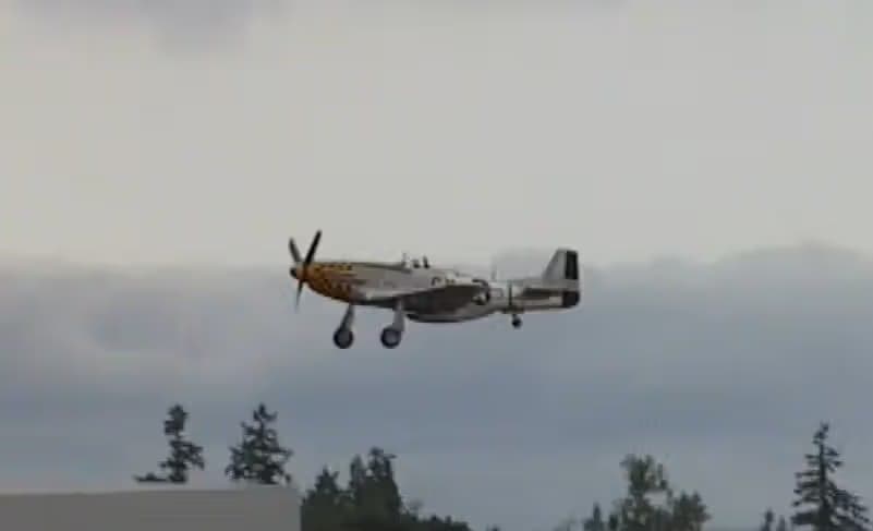 Unidentified — Warbird