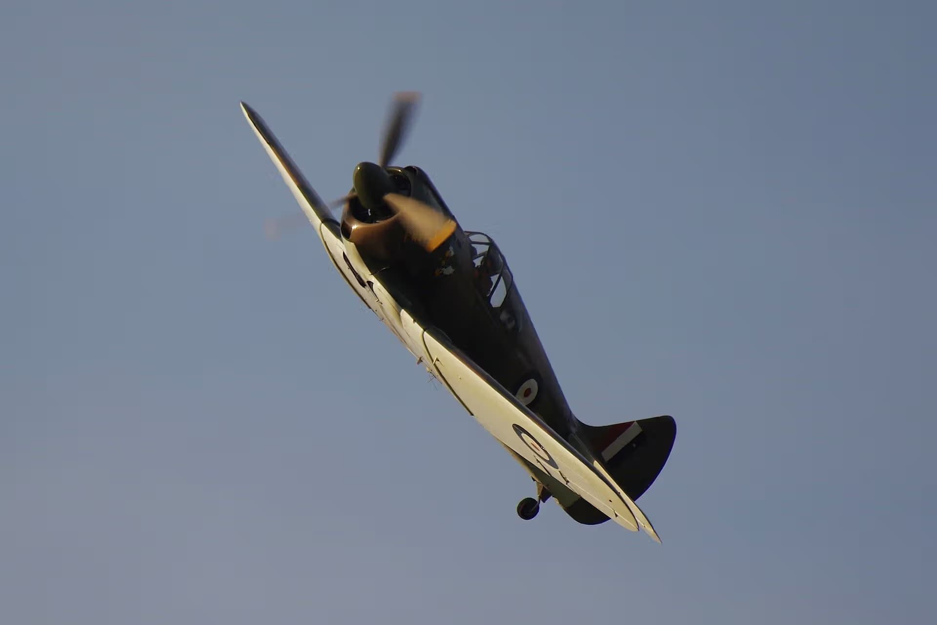 Unidentified — Warbird