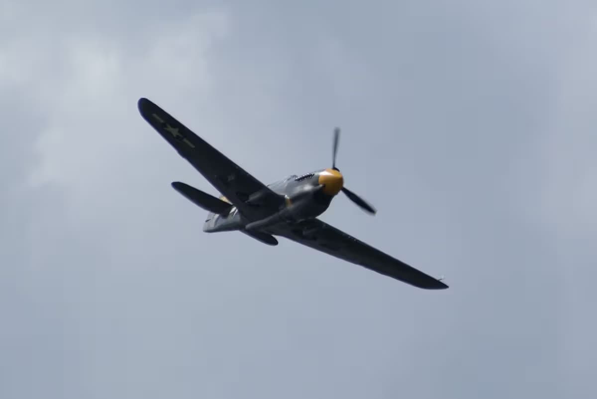 Unidentified — Warbird