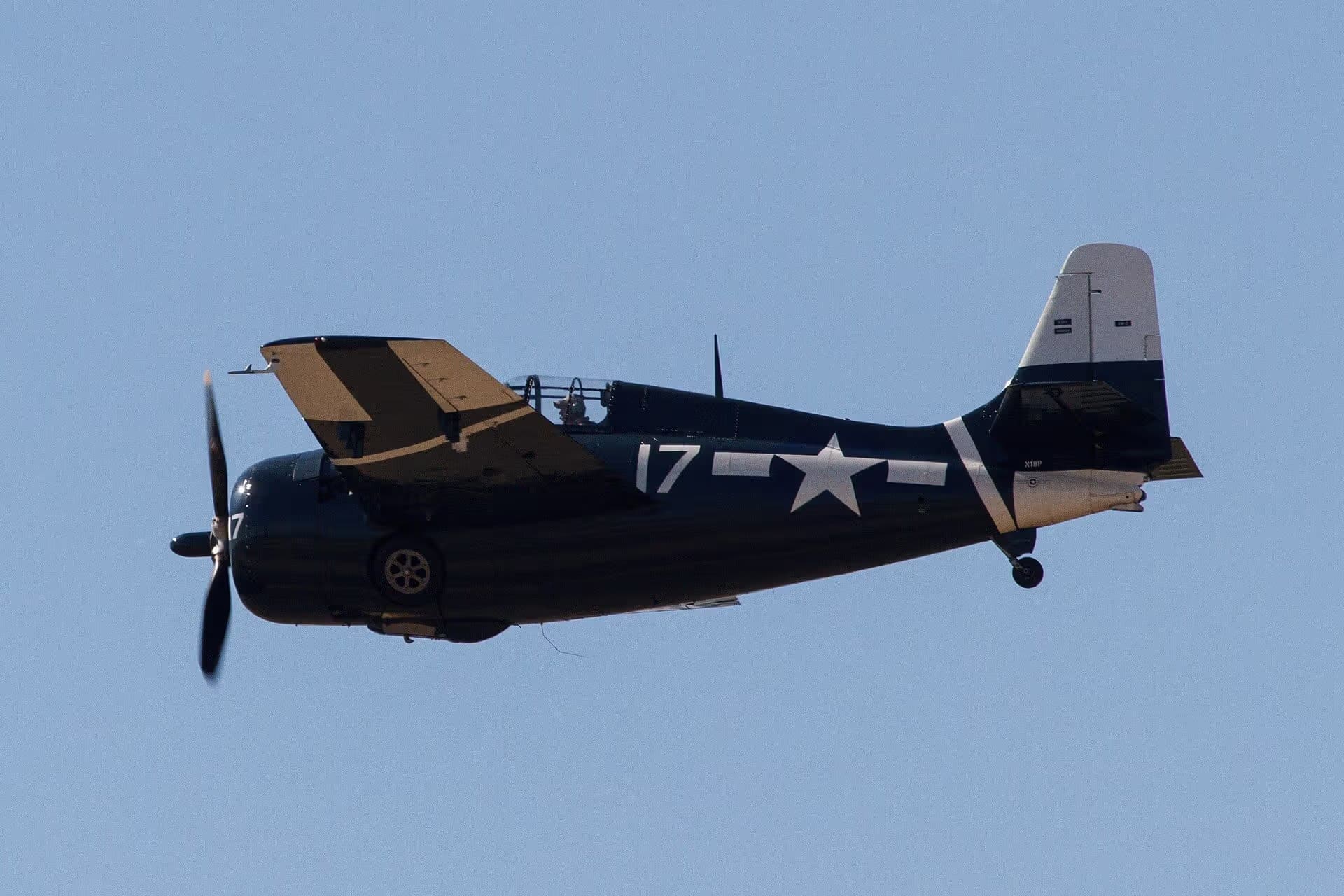 Unidentified — Warbird