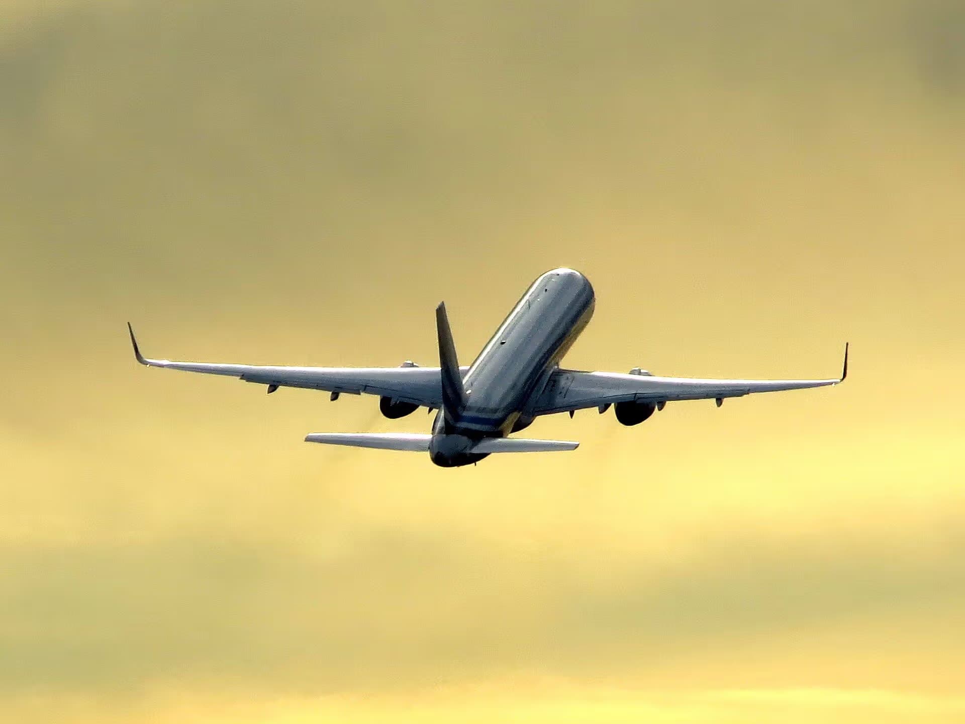 N801DM — Twin-engine aircraft