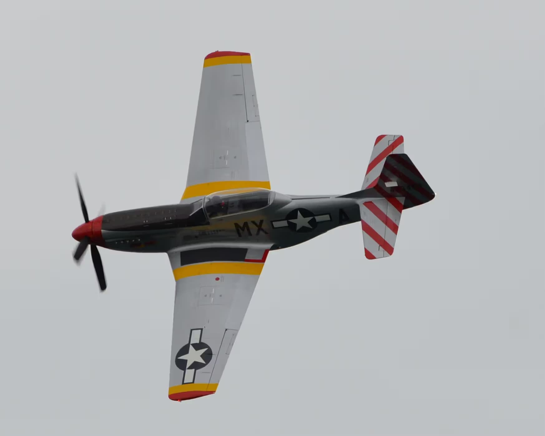 Unidentified — Warbird