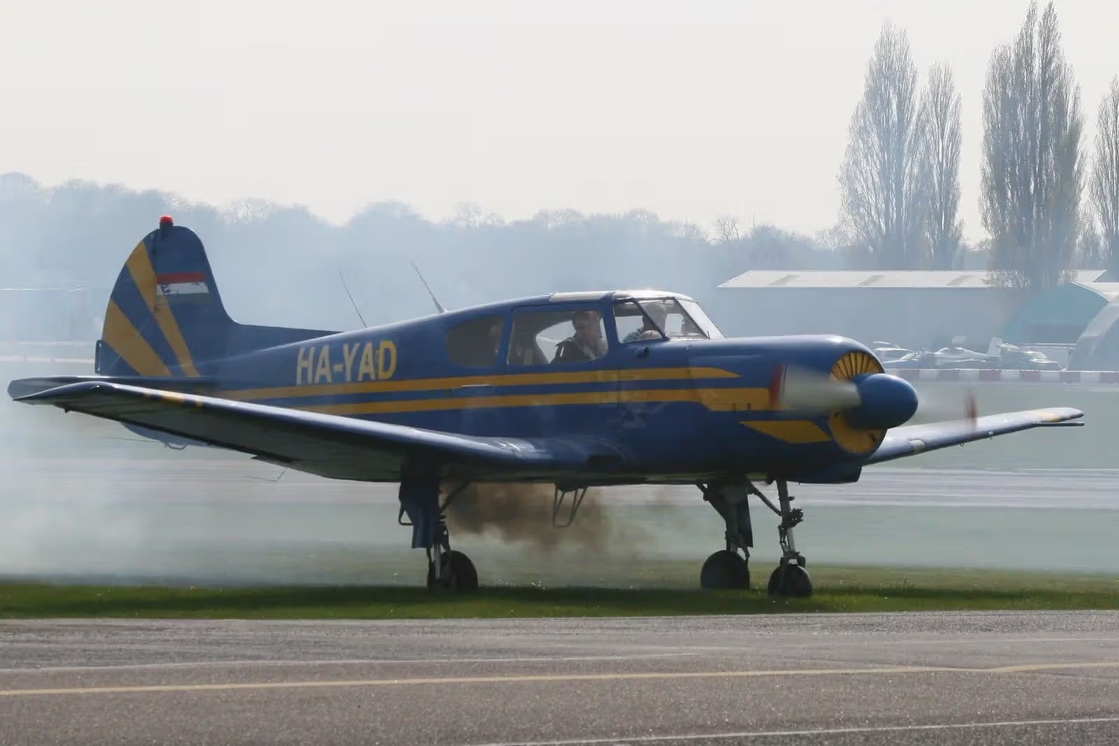 HA-YAD — Single-engine aircraft